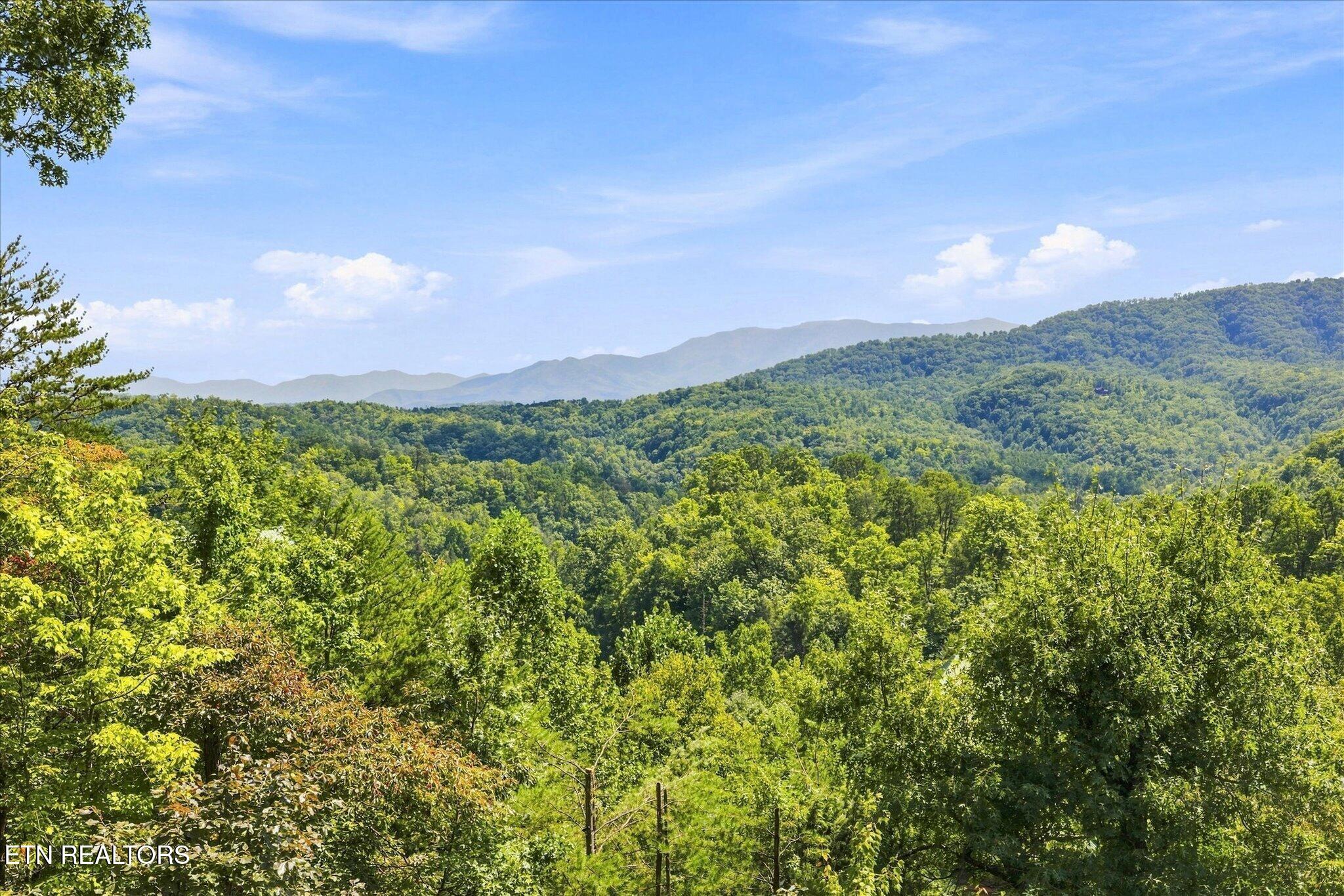 4626 Nottingham Heights Way Pigeon Forge TN 37863