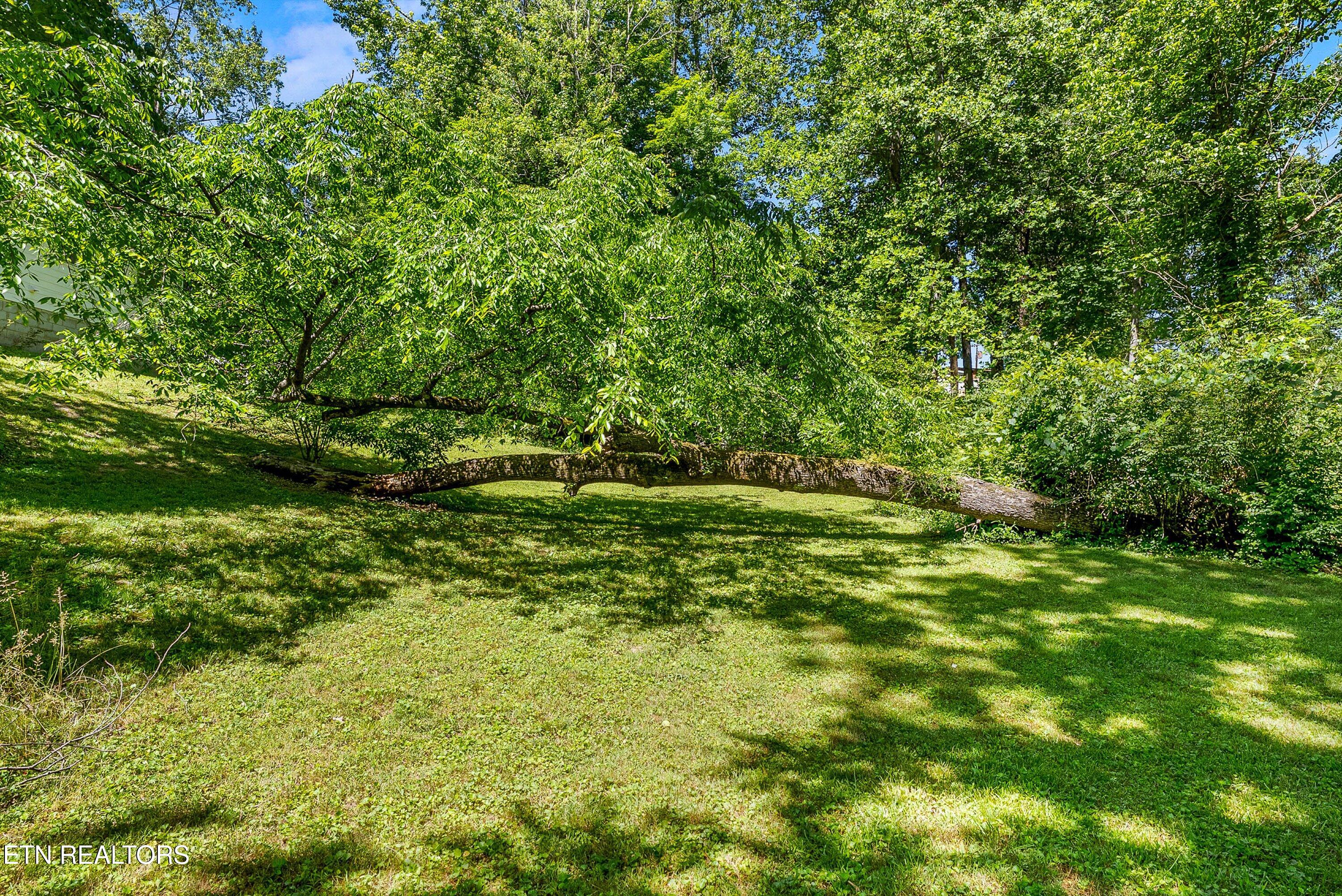 103 Loyola Lane Oak Ridge TN 37830