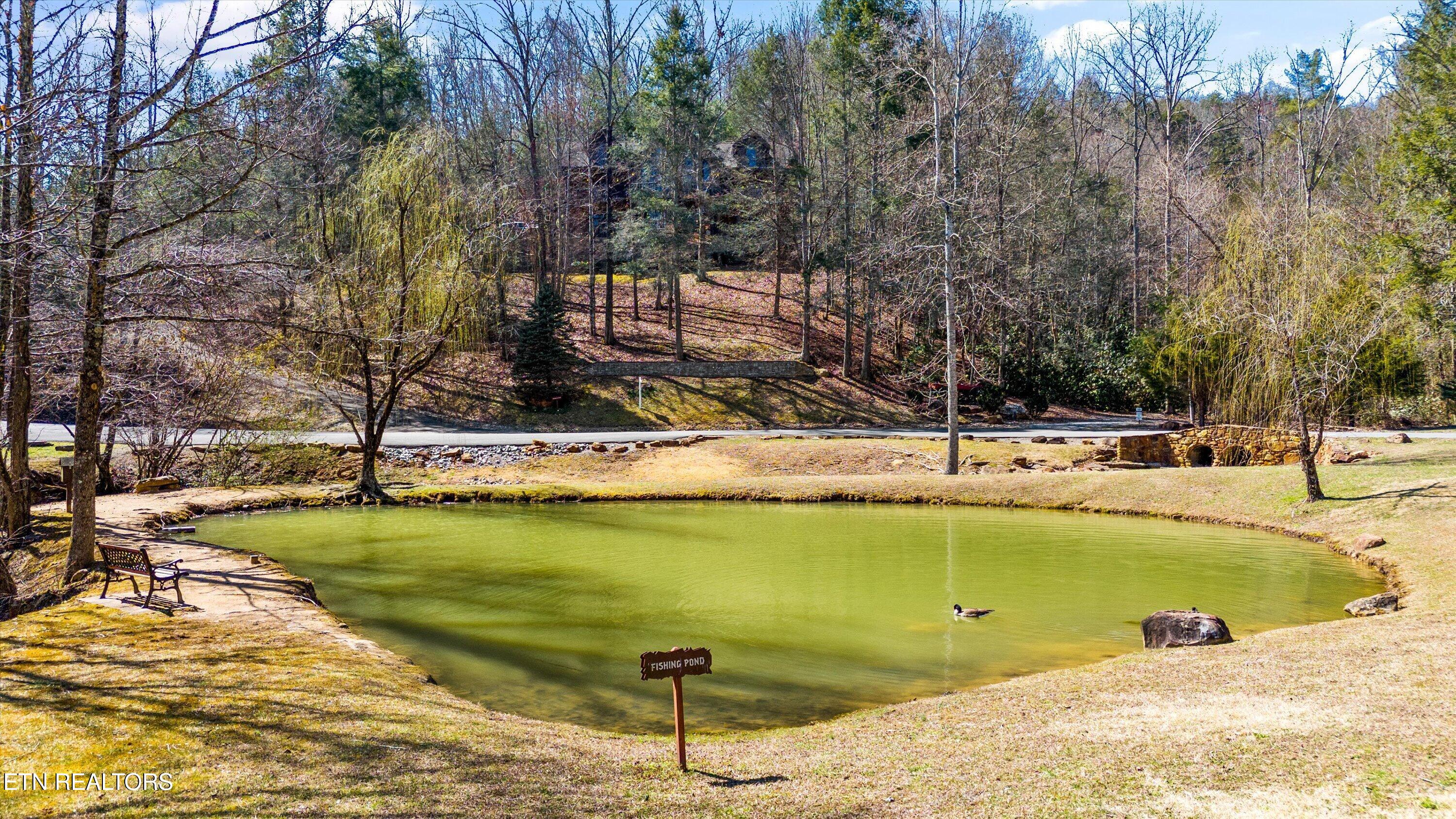 2436 Smoky Vista Way Sevierville TN 37862