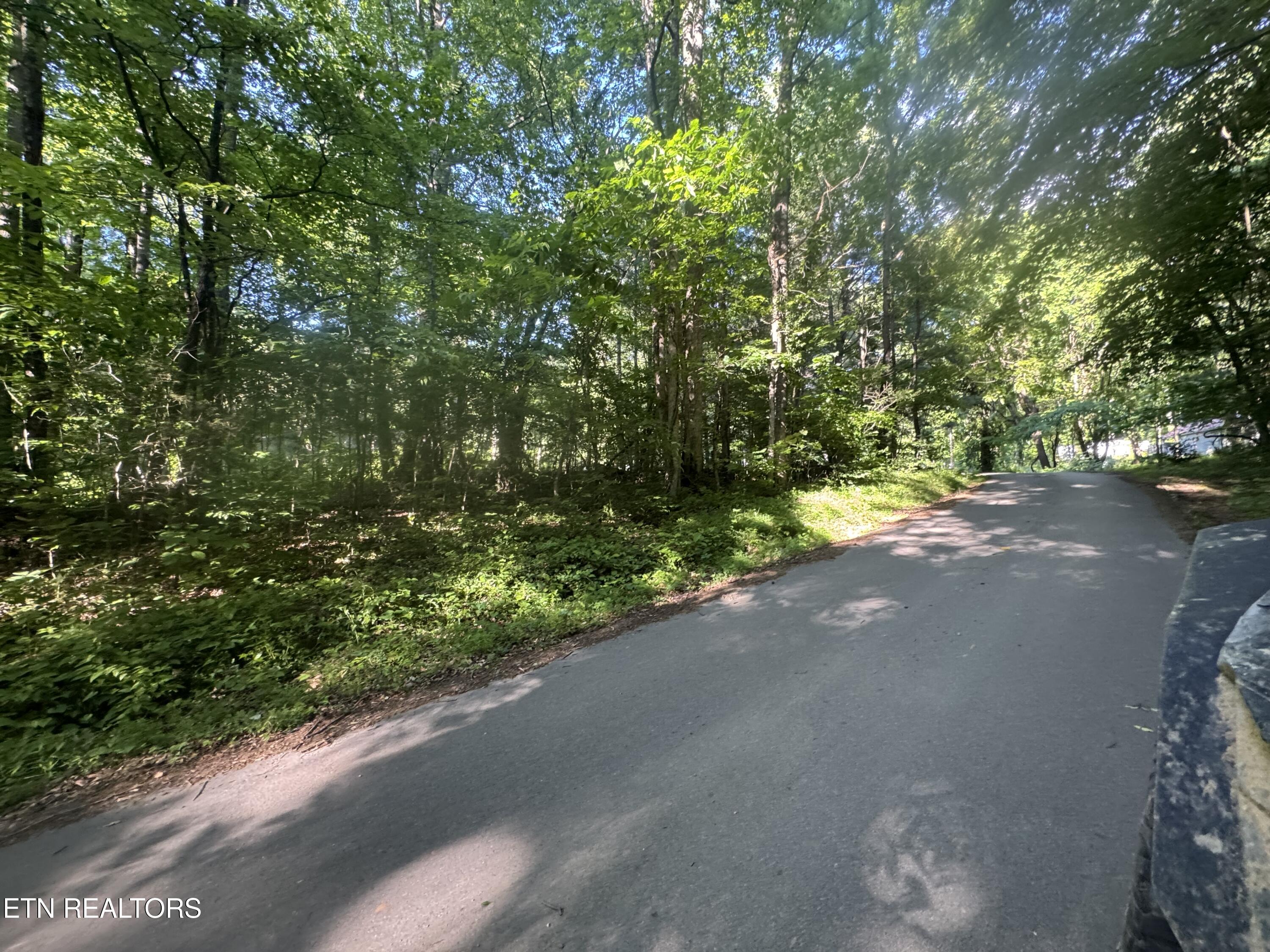 992 Chicken Hollow Road Newport TN 37821
