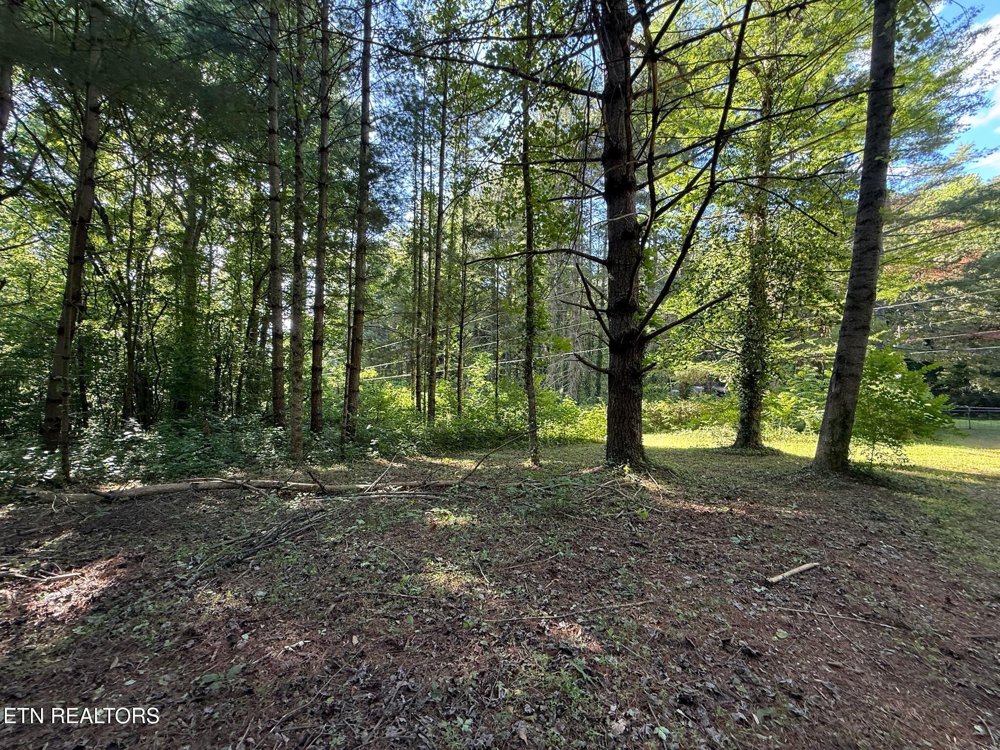 992 Chicken Hollow Road Newport TN 37821