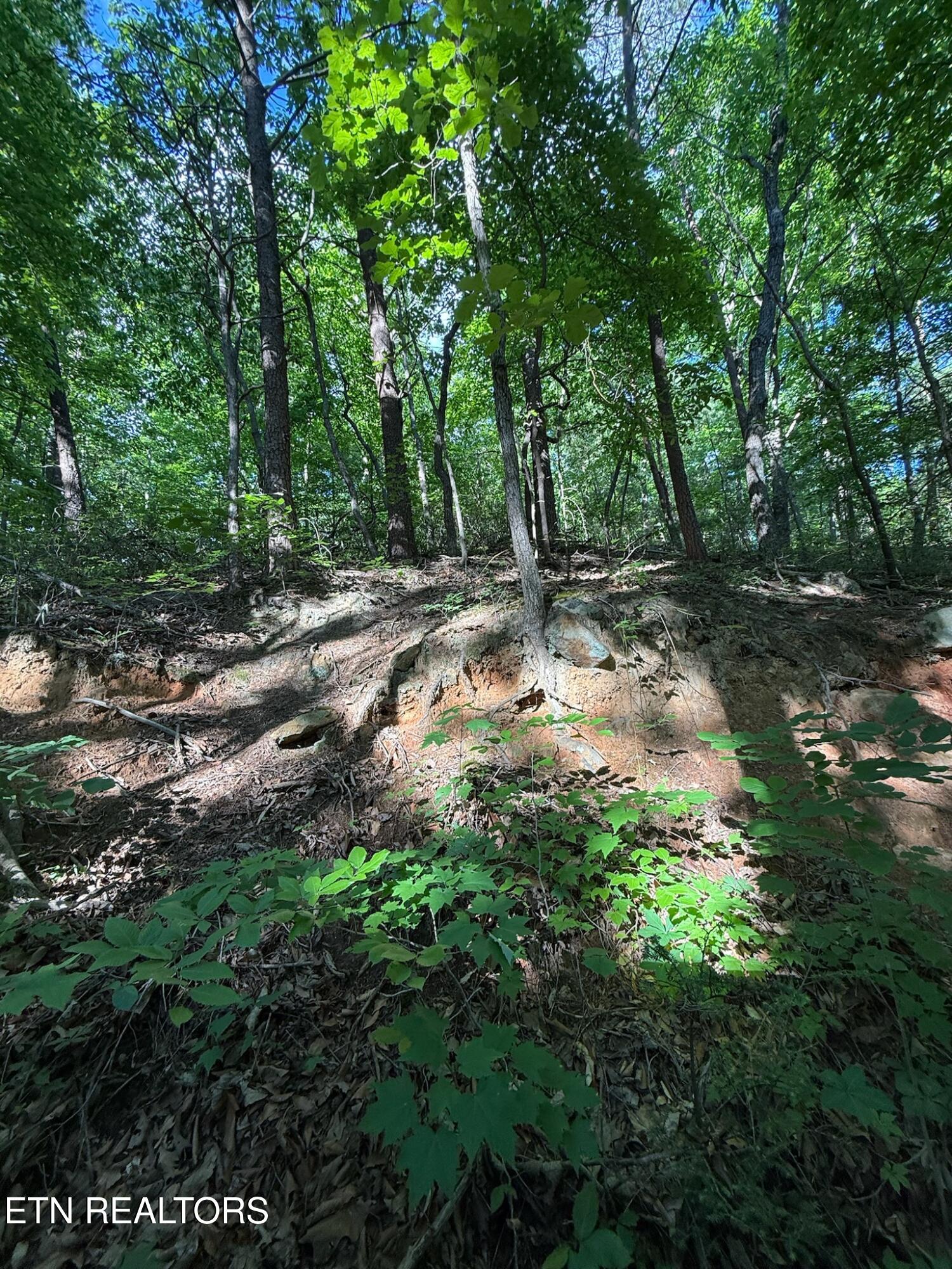 992 Chicken Hollow Road Newport TN 37821