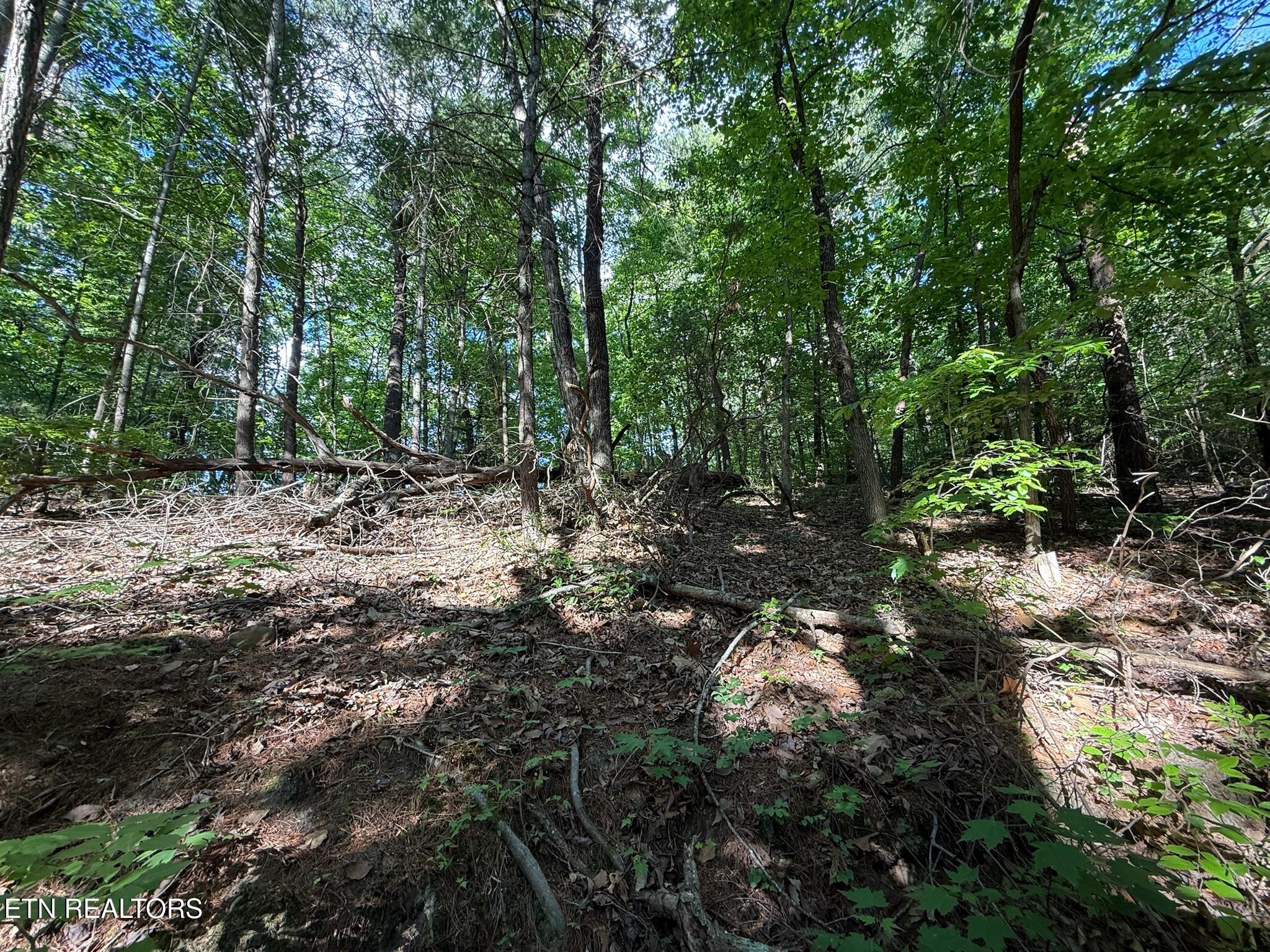 992 Chicken Hollow Road Newport TN 37821