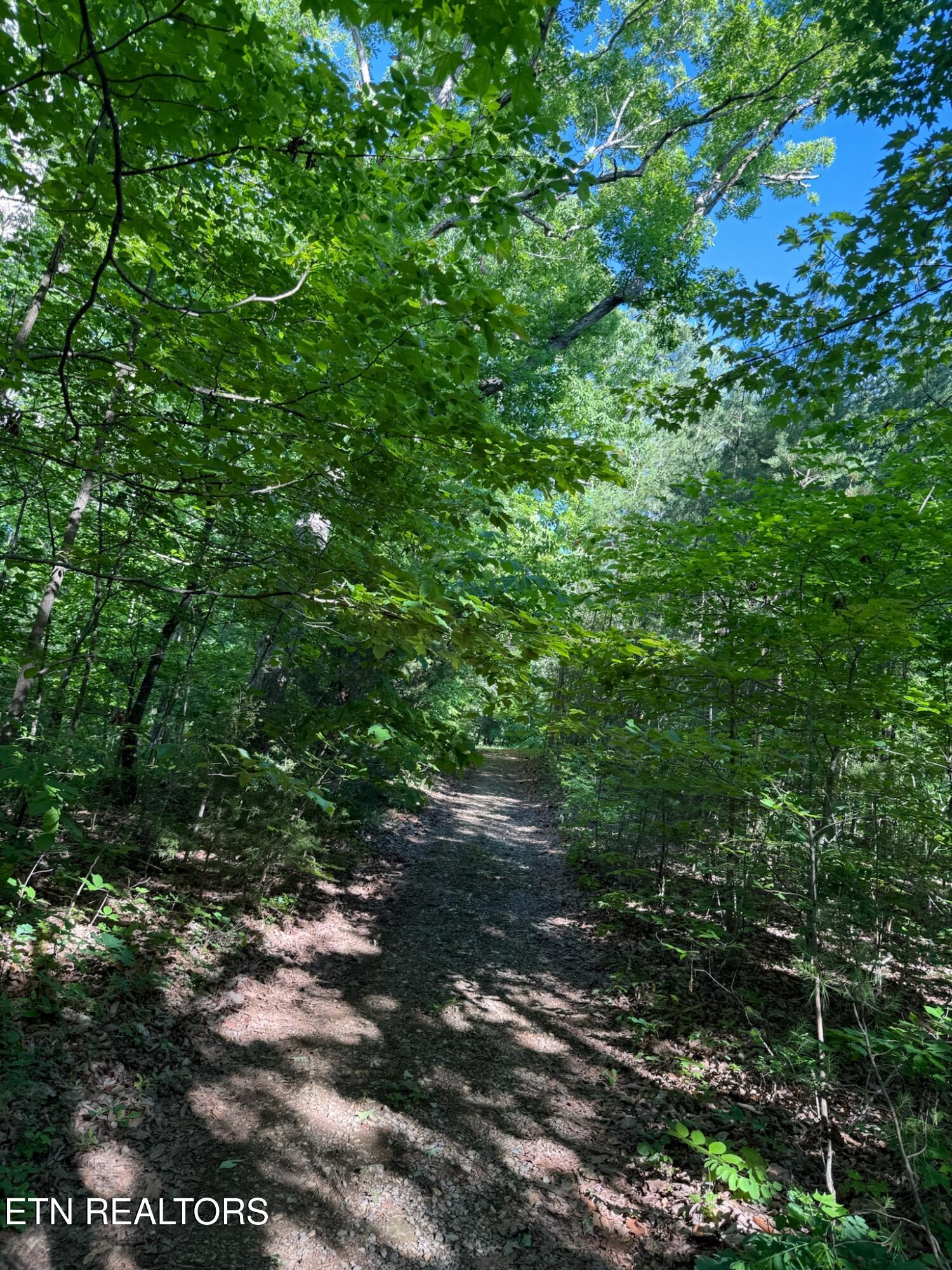 992 Chicken Hollow Road Newport TN 37821