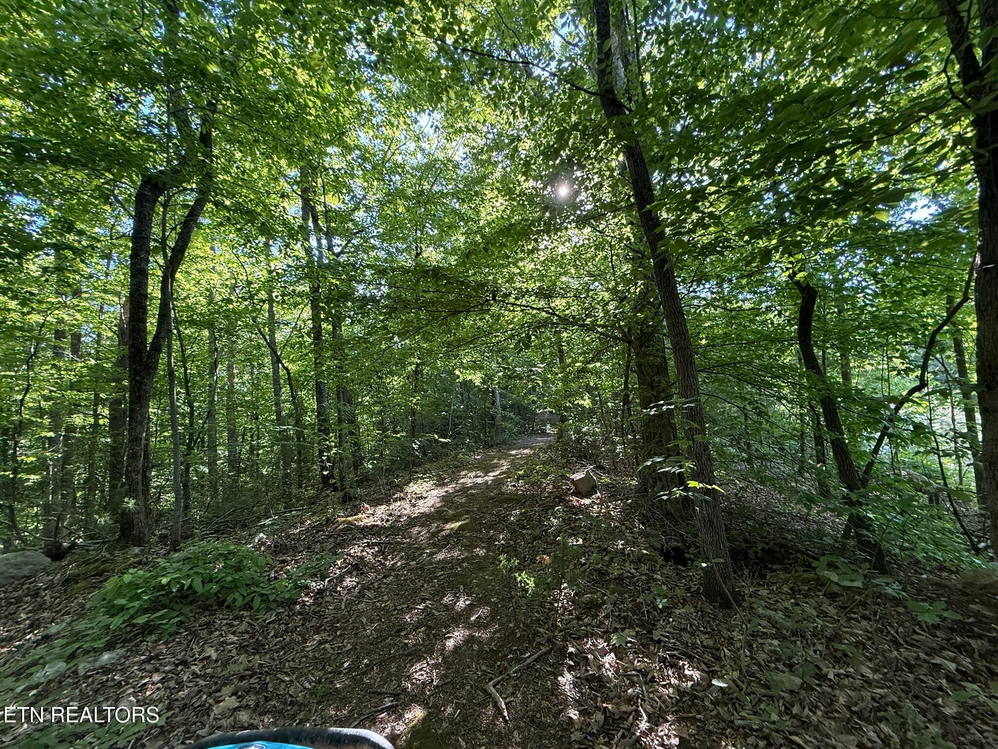 992 Chicken Hollow Road Newport TN 37821