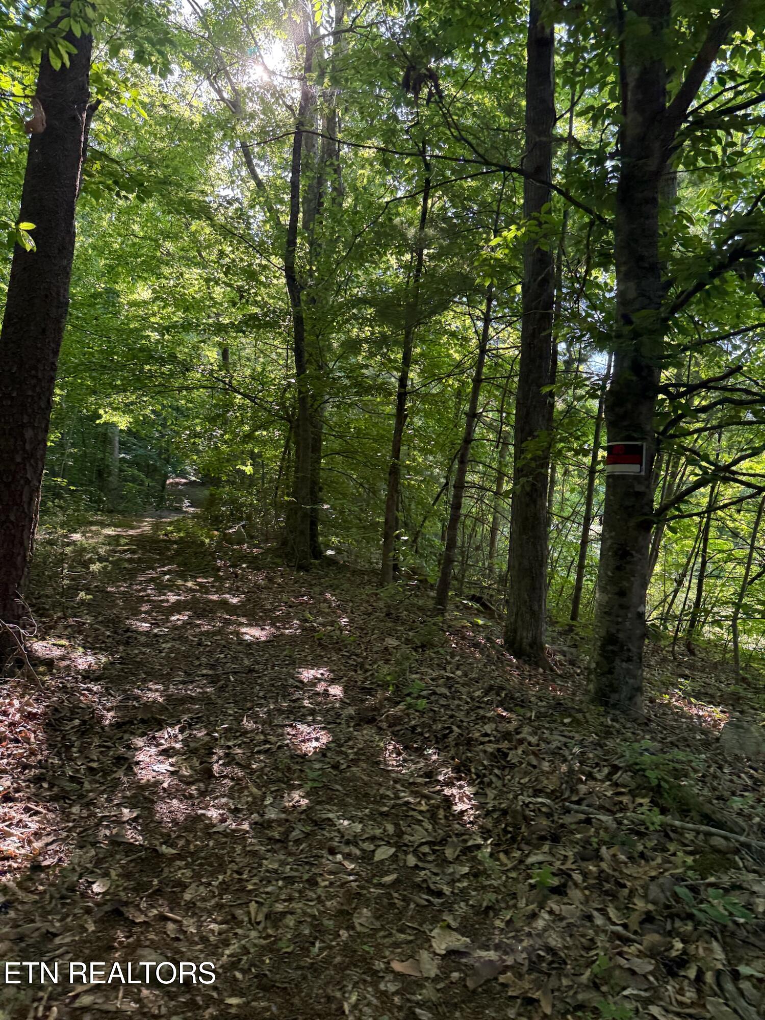 992 Chicken Hollow Road Newport TN 37821