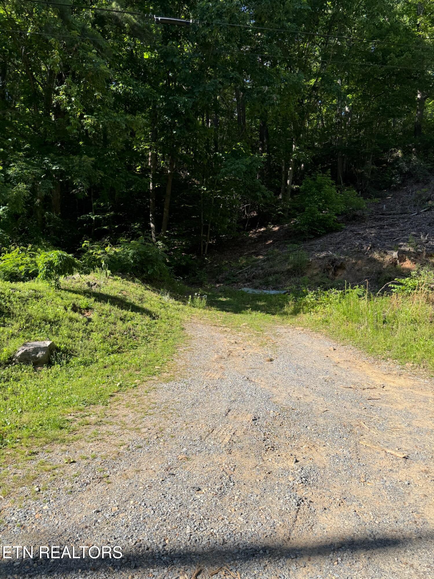 992 Chicken Hollow Road Newport TN 37821