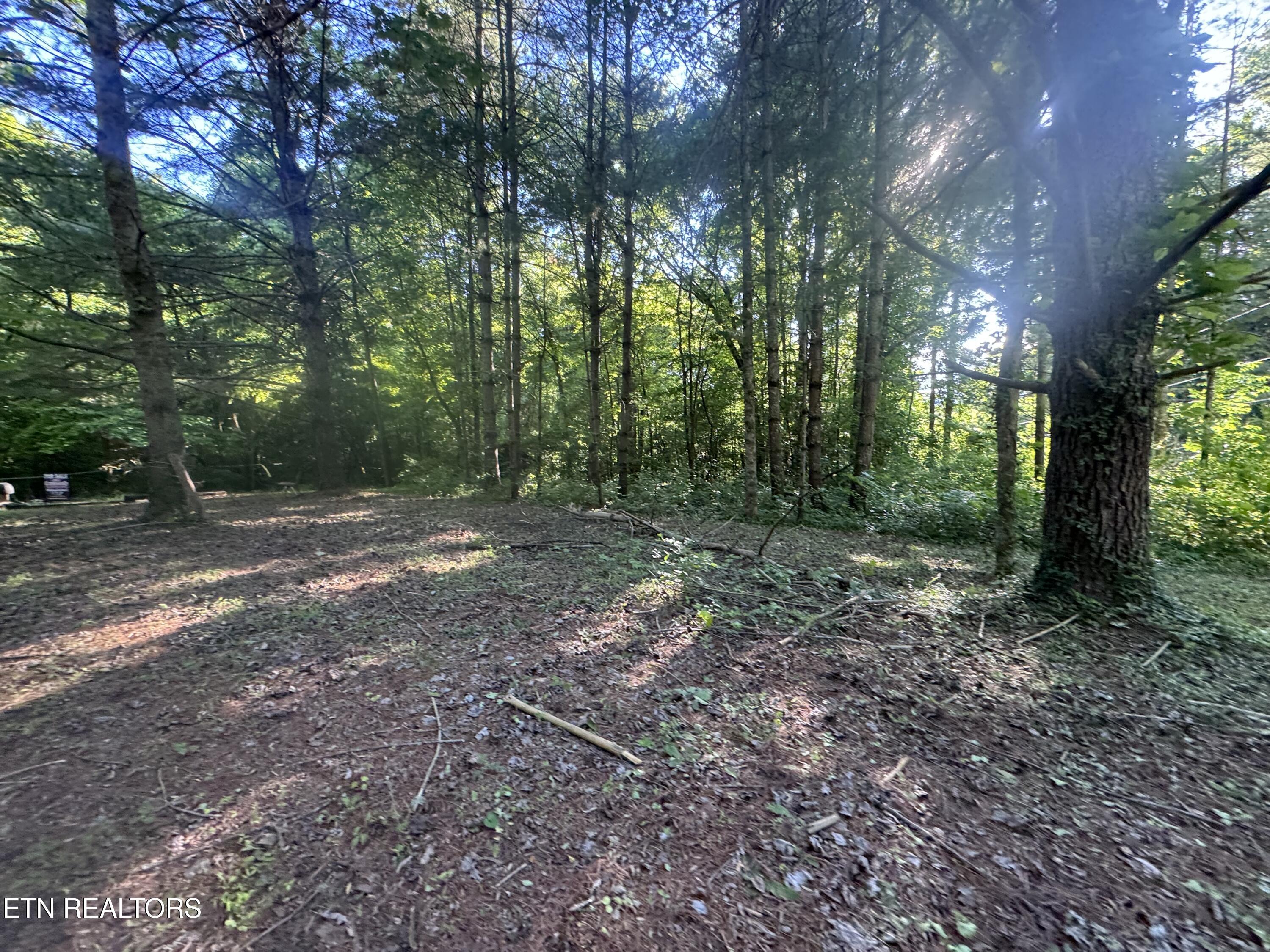992 Chicken Hollow Road Newport TN 37821