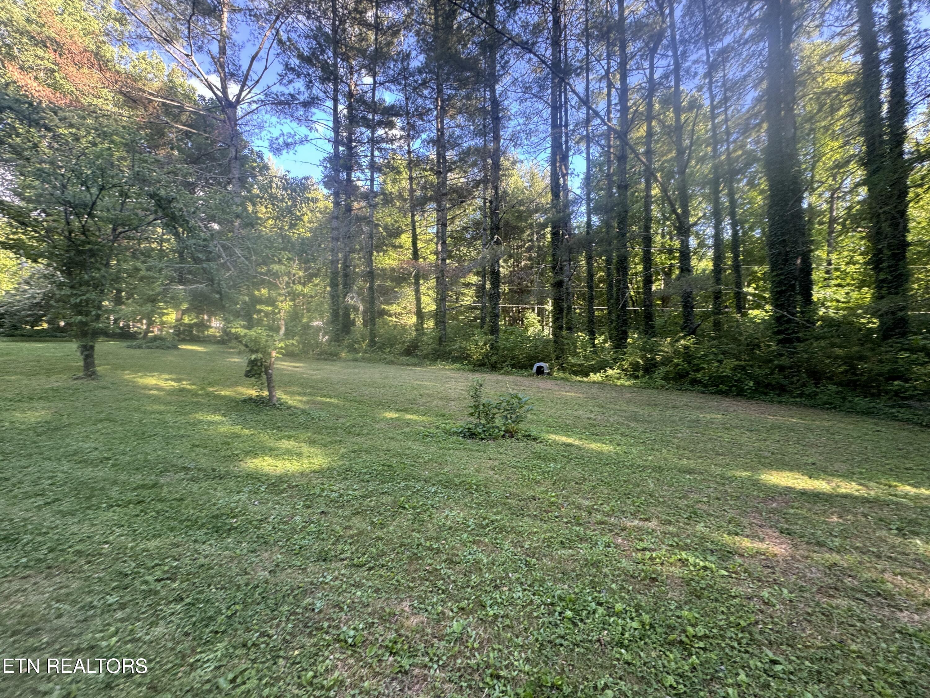 992 Chicken Hollow Road Newport TN 37821