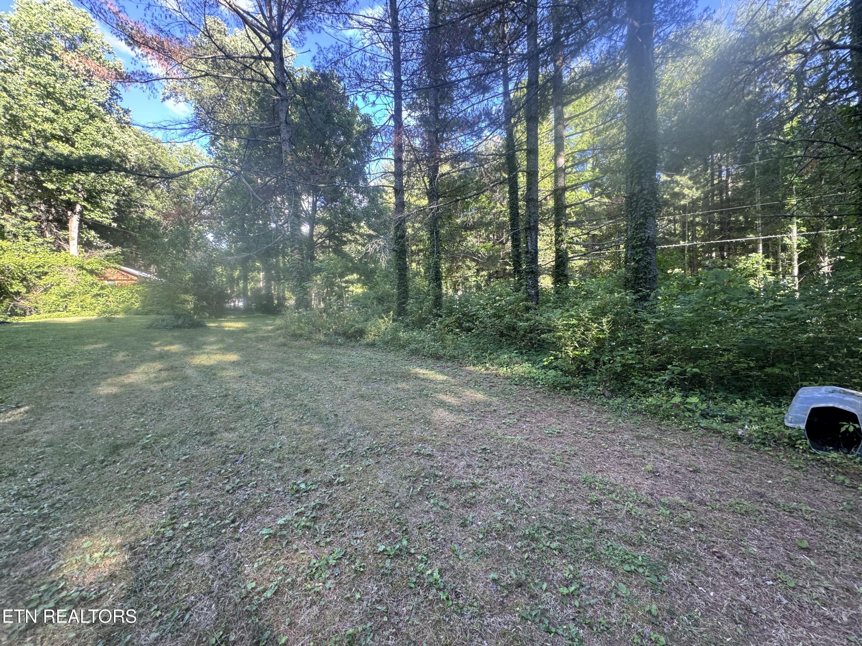 992 Chicken Hollow Road Newport TN 37821