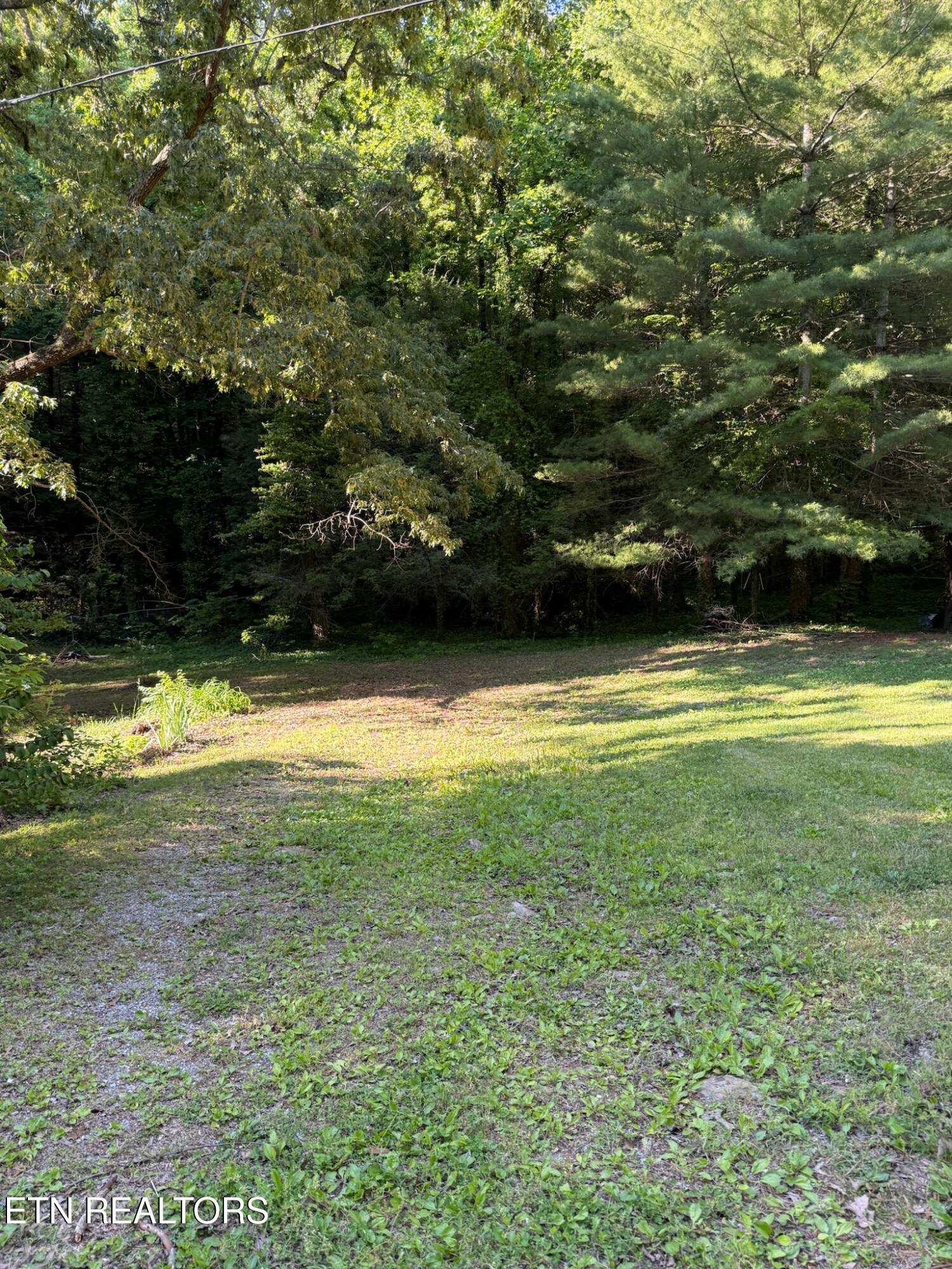 992 Chicken Hollow Road Newport TN 37821