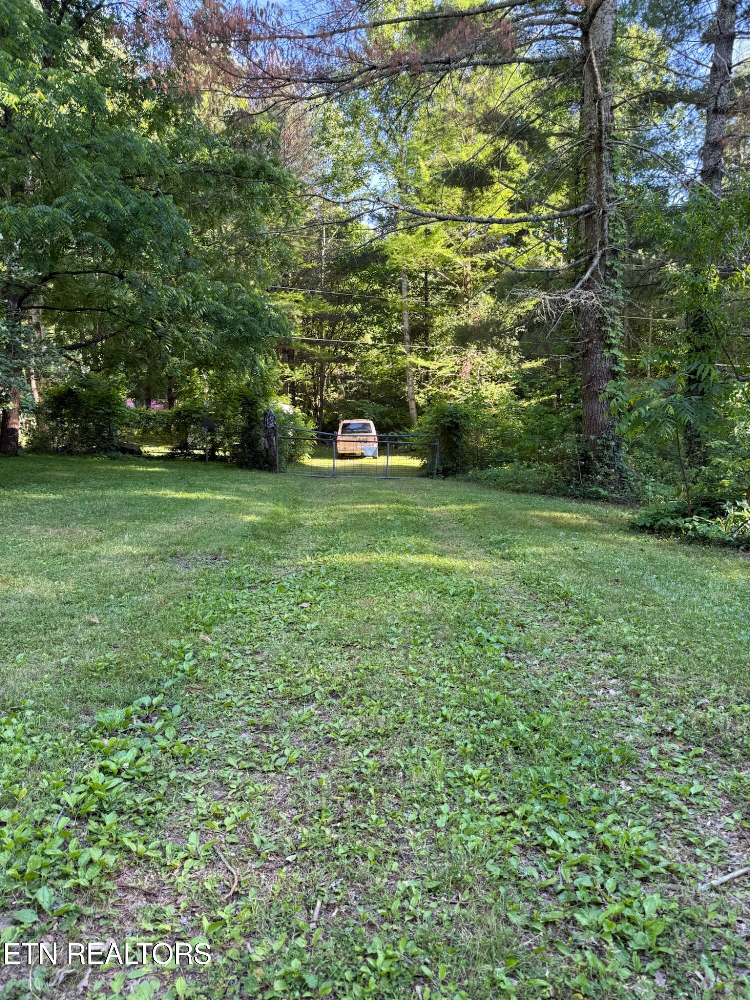992 Chicken Hollow Road Newport TN 37821
