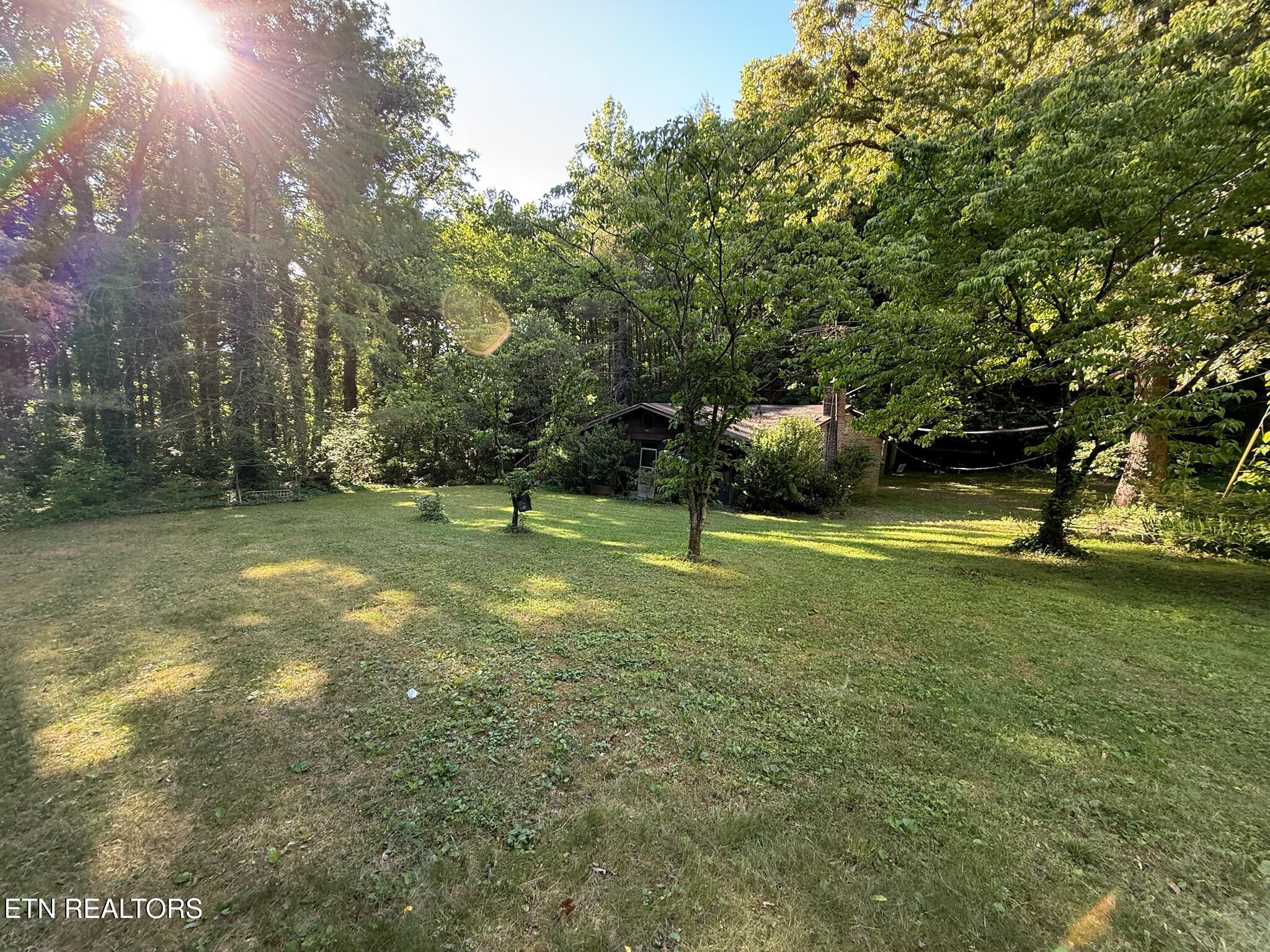 992 Chicken Hollow Road Newport TN 37821