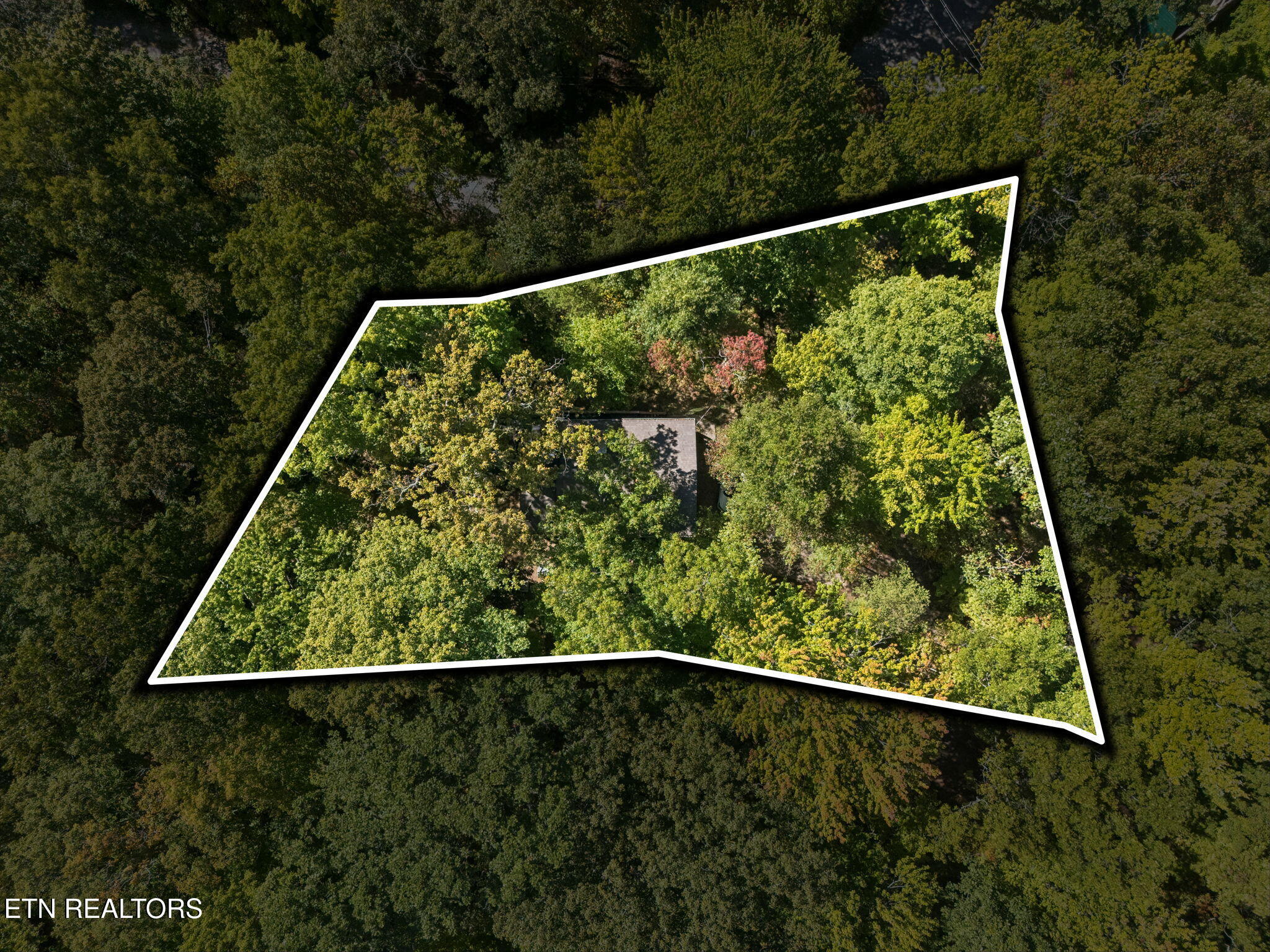 2760 Hawks View Trail Pigeon Forge TN 37876