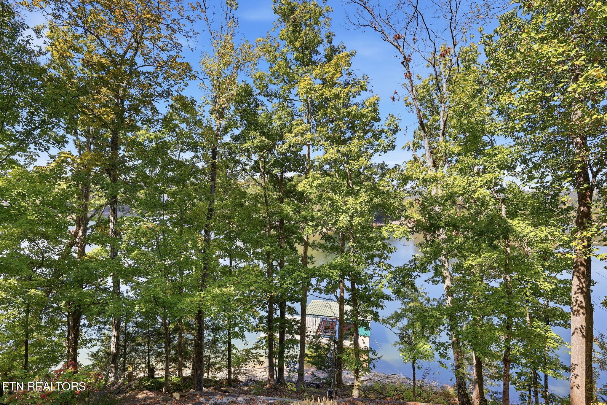 553 Hurricane Hollow Road Maynardville TN 37807