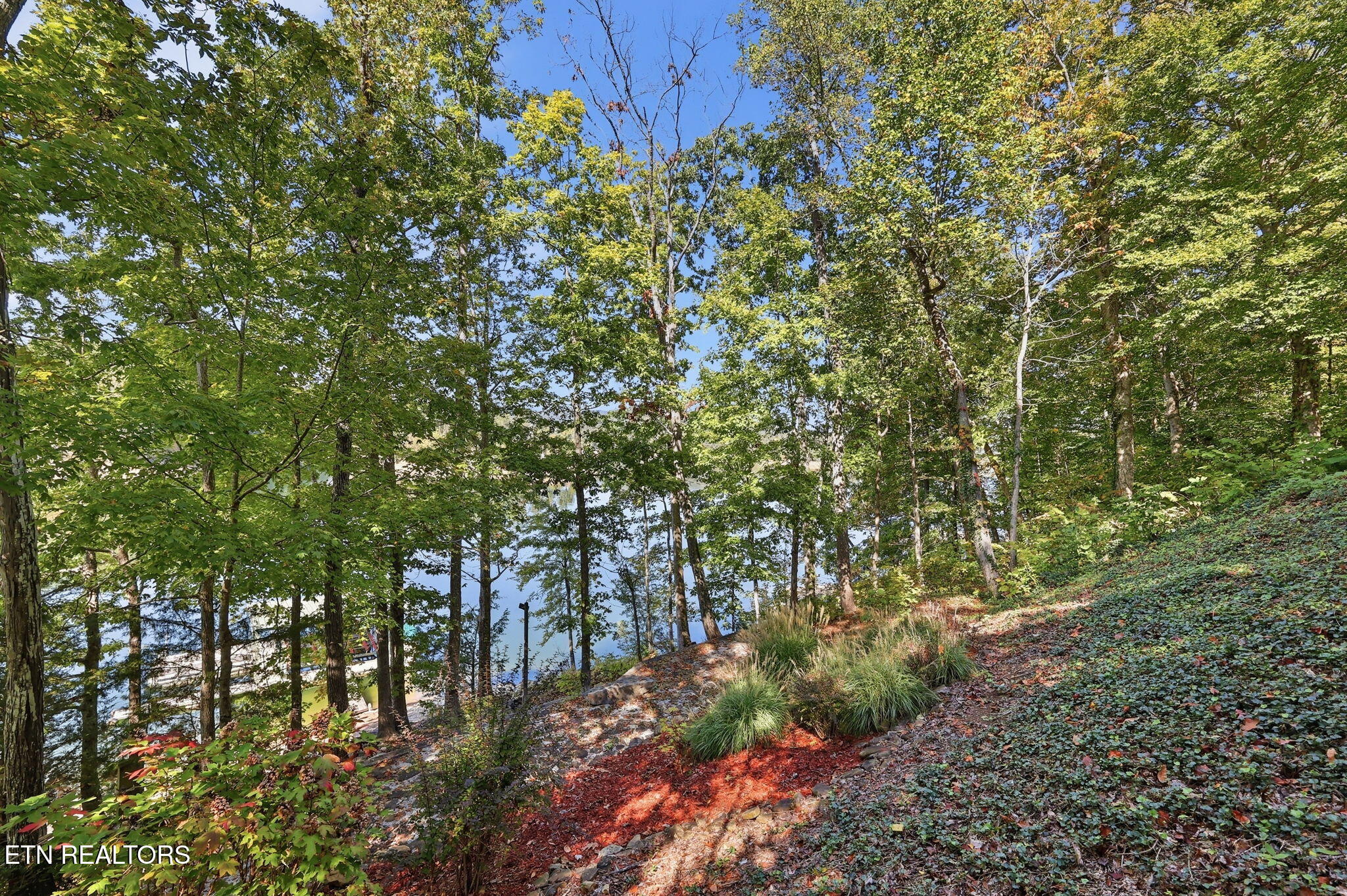 553 Hurricane Hollow Road Maynardville TN 37807