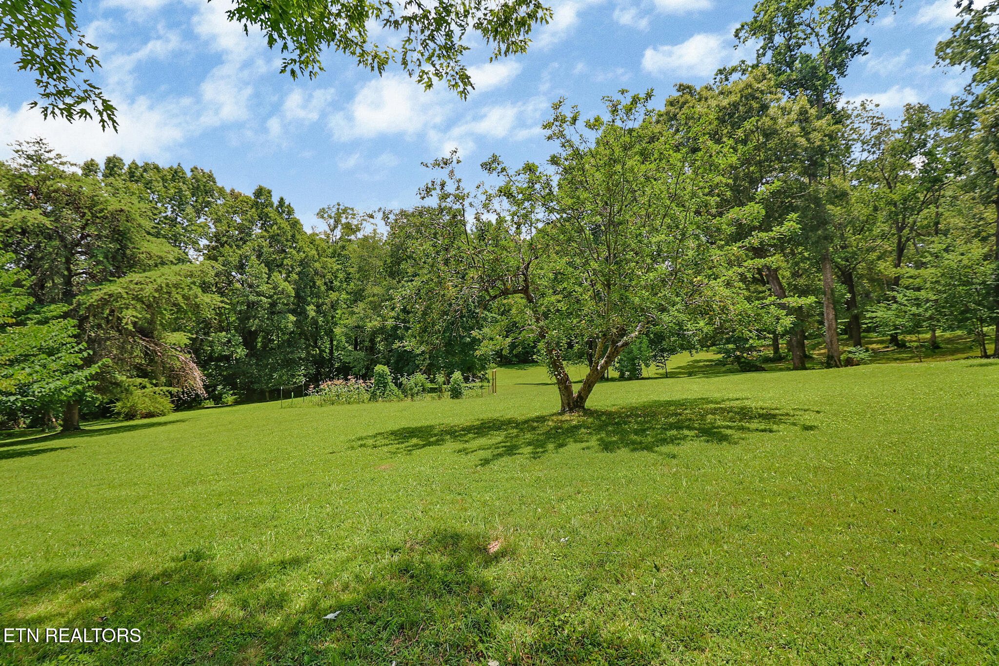 335 Woodland Street Livingston TN 38570