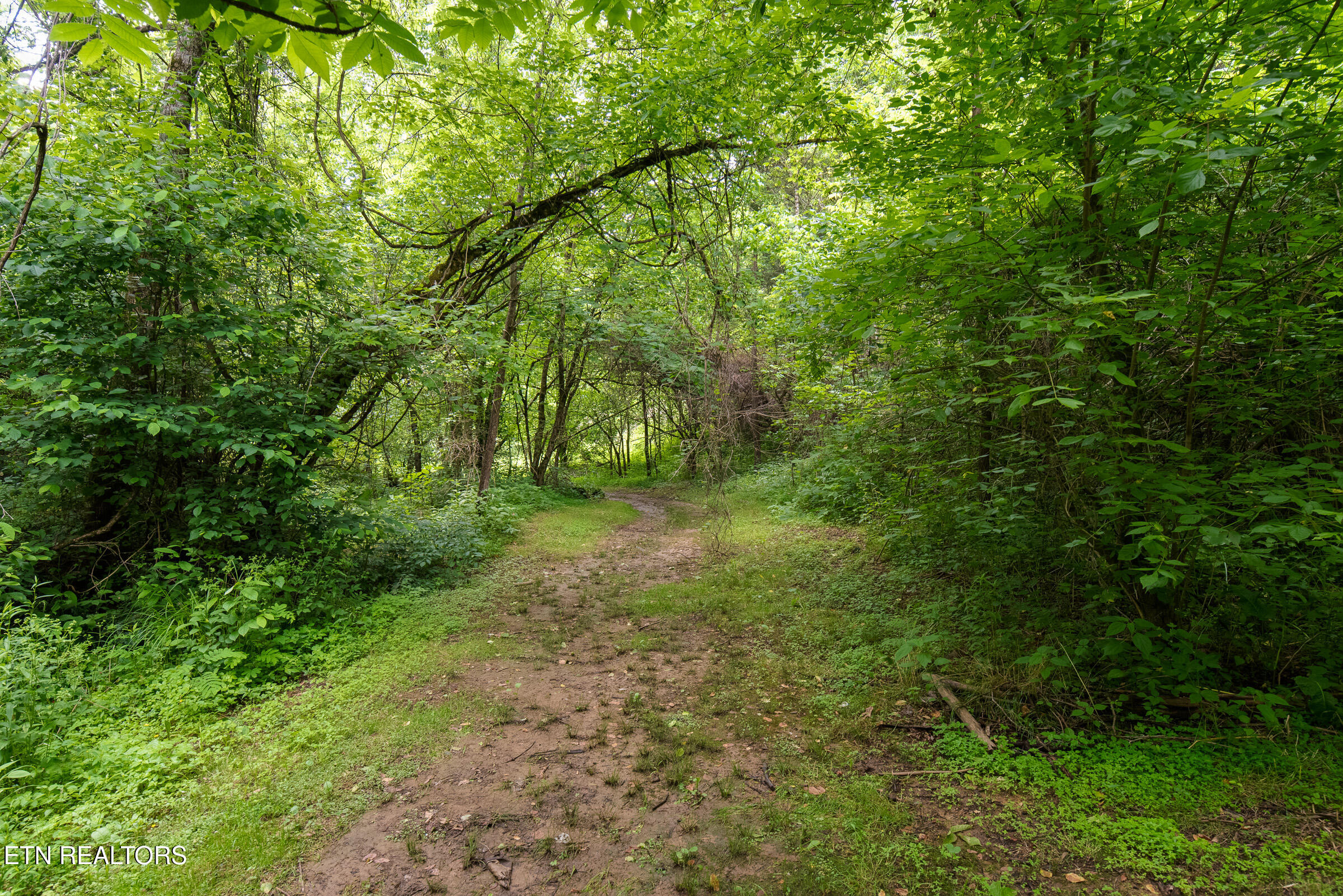 542 Lane Hollow Road Sevierville TN 37876