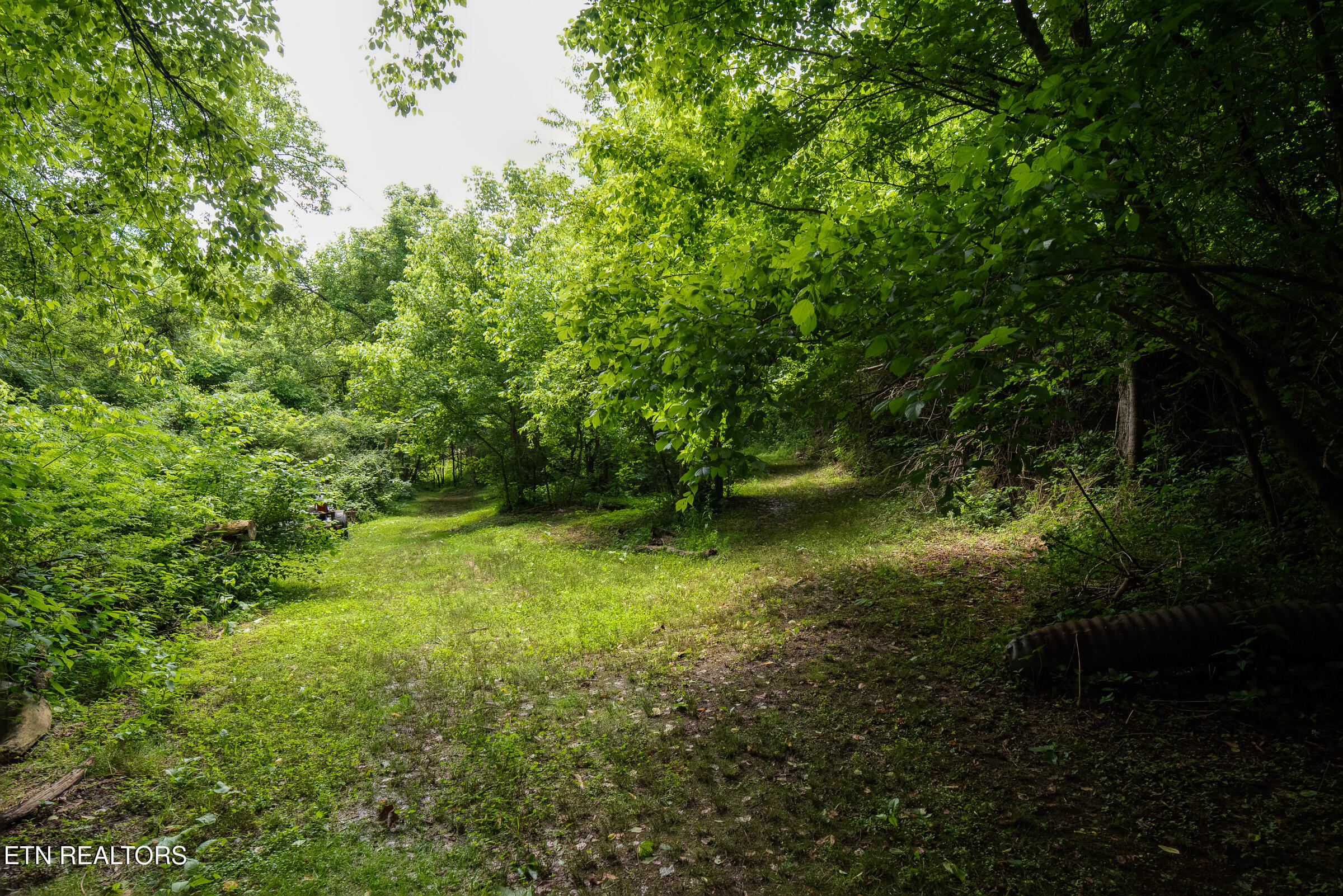 542 Lane Hollow Road Sevierville TN 37876