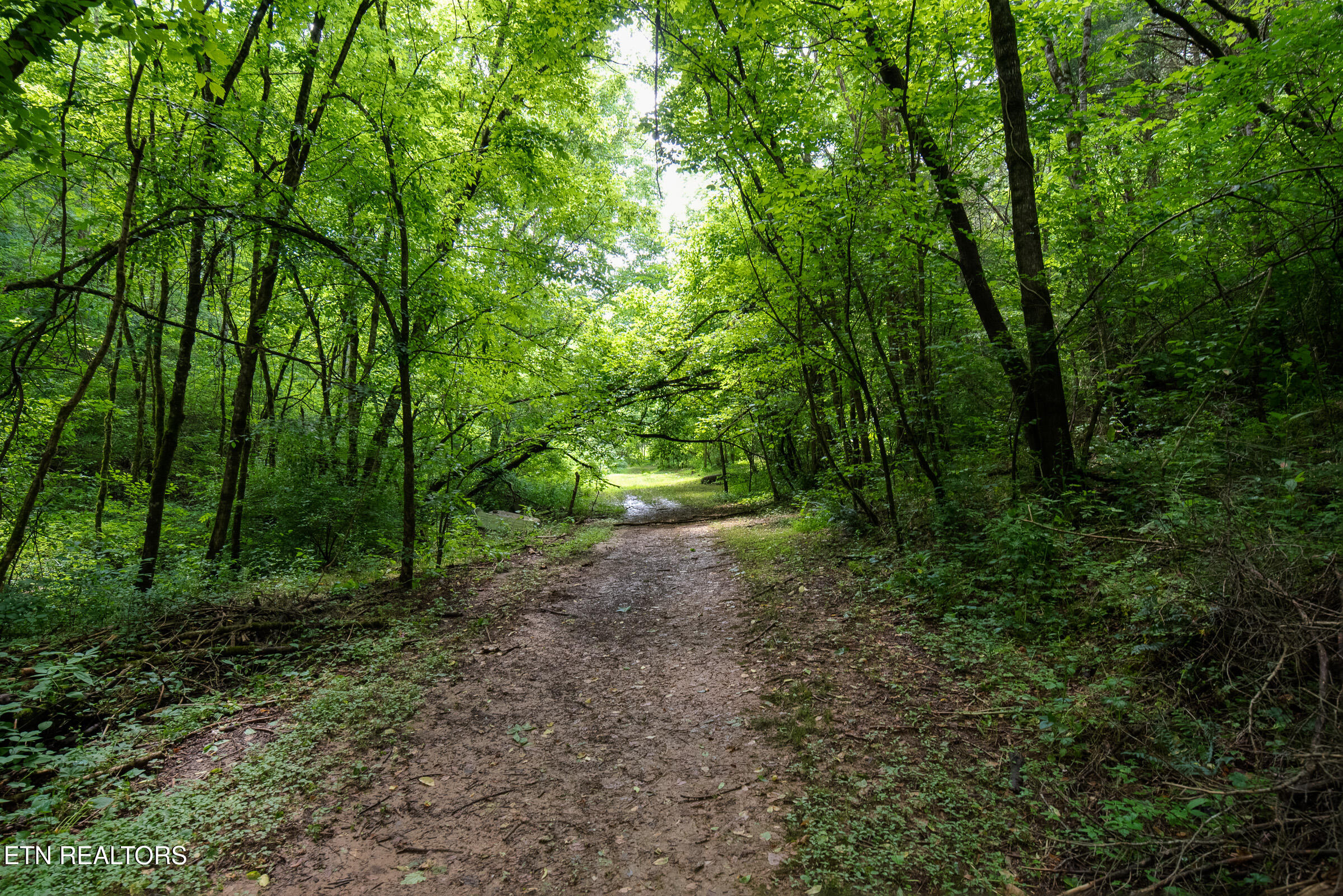 542 Lane Hollow Road Sevierville TN 37876