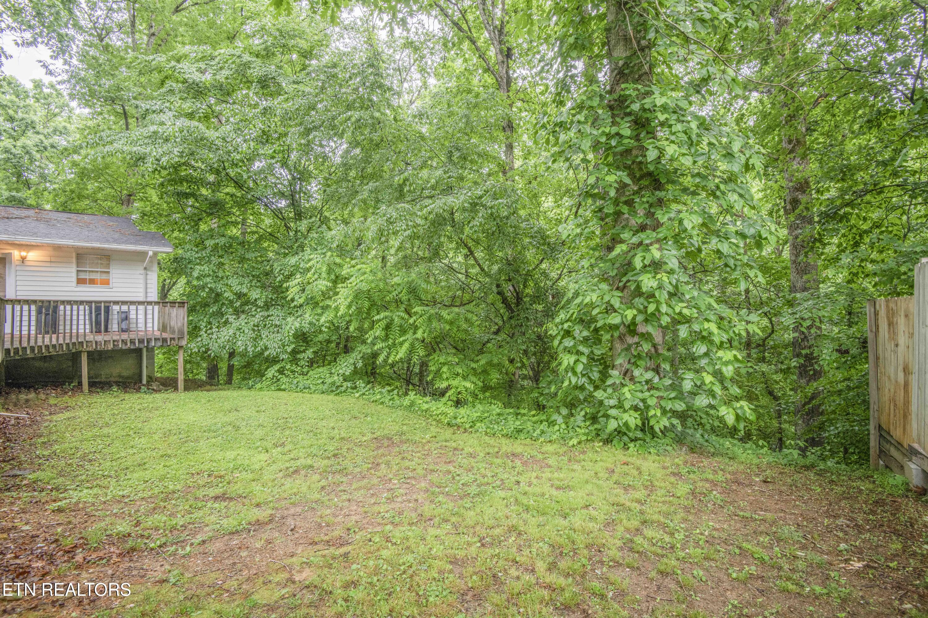 223 White Oak Lane Heiskell TN 37754