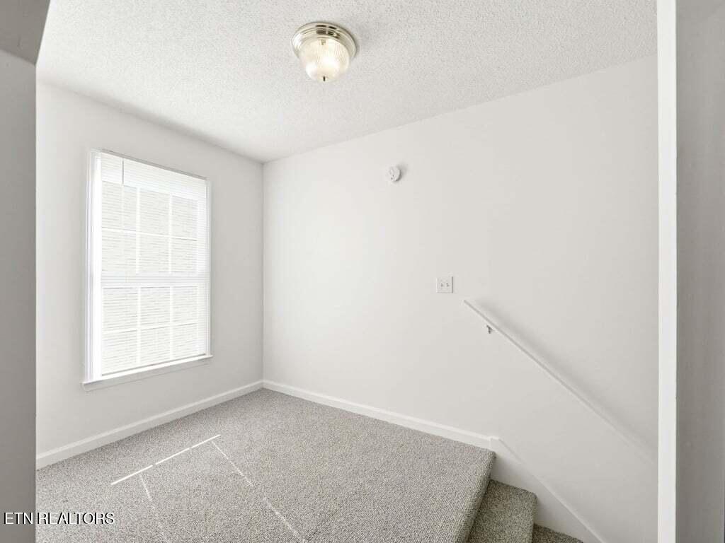 220 Misty View Circle Rogersville TN 37857
