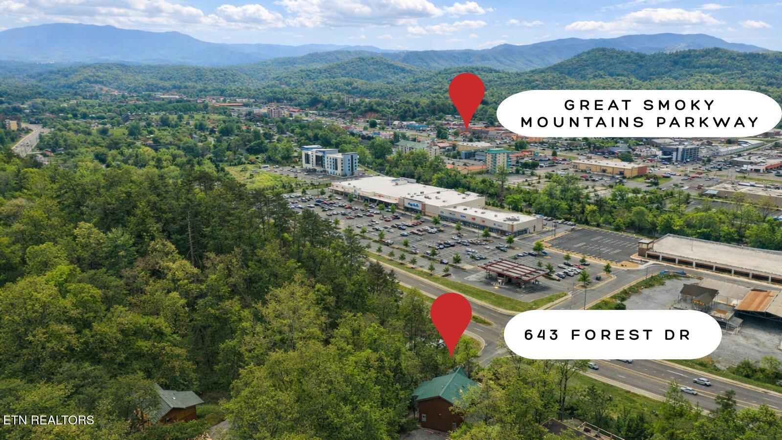 643 Forest Drive Pigeon Forge TN 37863