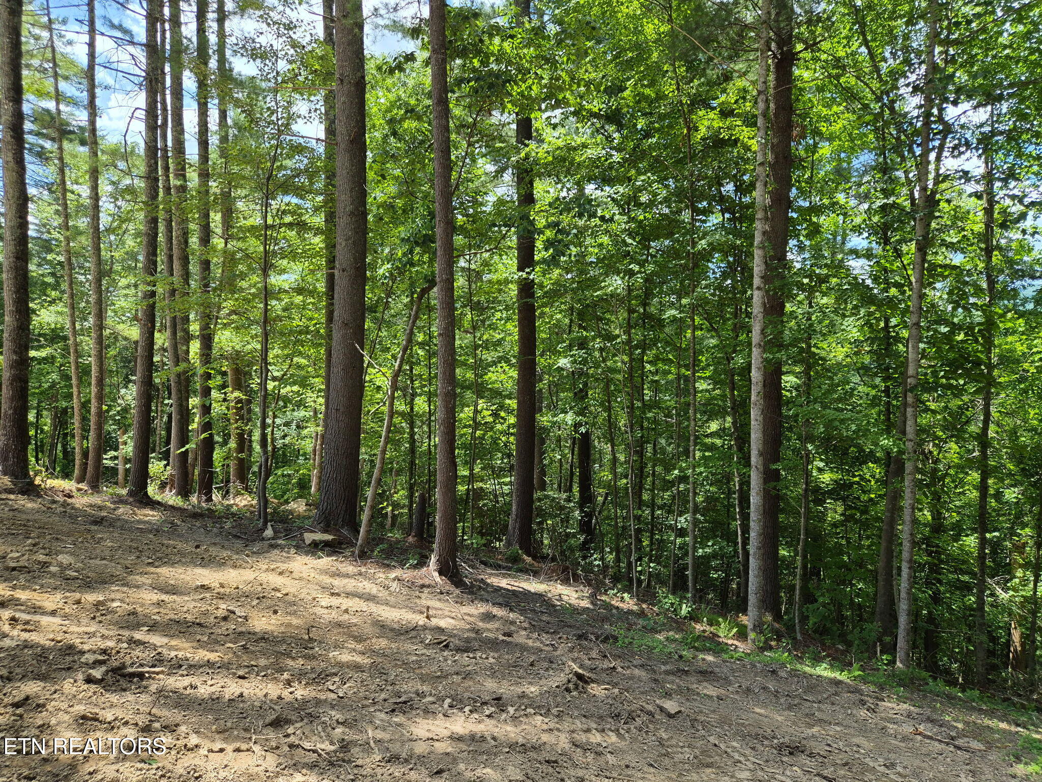 167 Balfour Drive Harriman TN 37748