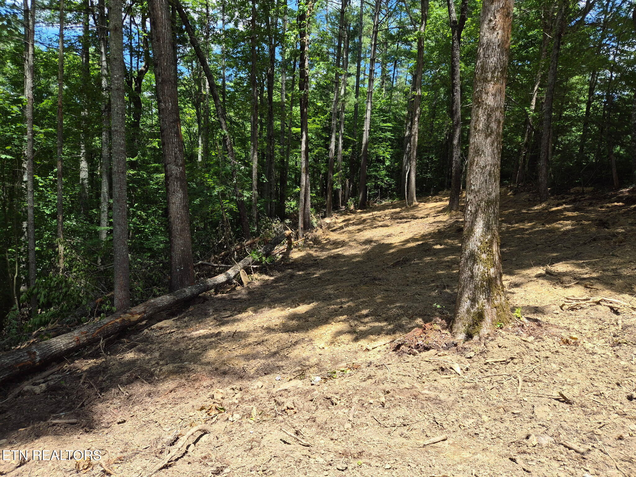 167 Balfour Drive Harriman TN 37748