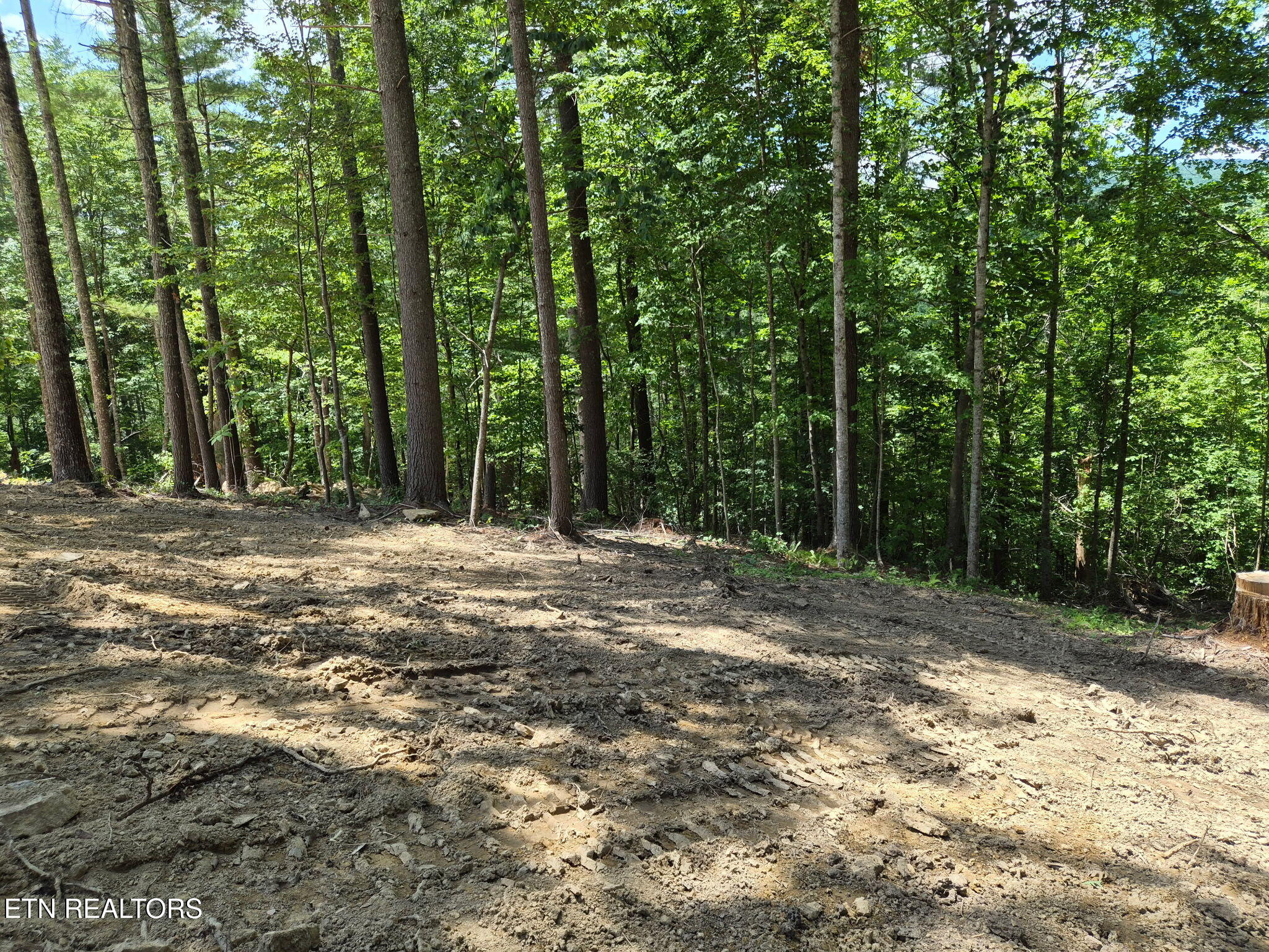 167 Balfour Drive Harriman TN 37748