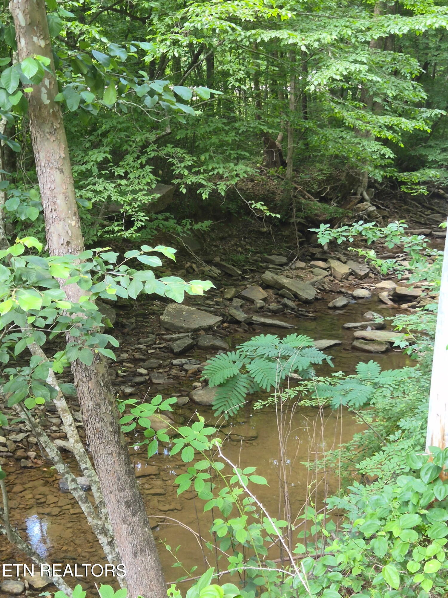 167 Balfour Drive Harriman TN 37748