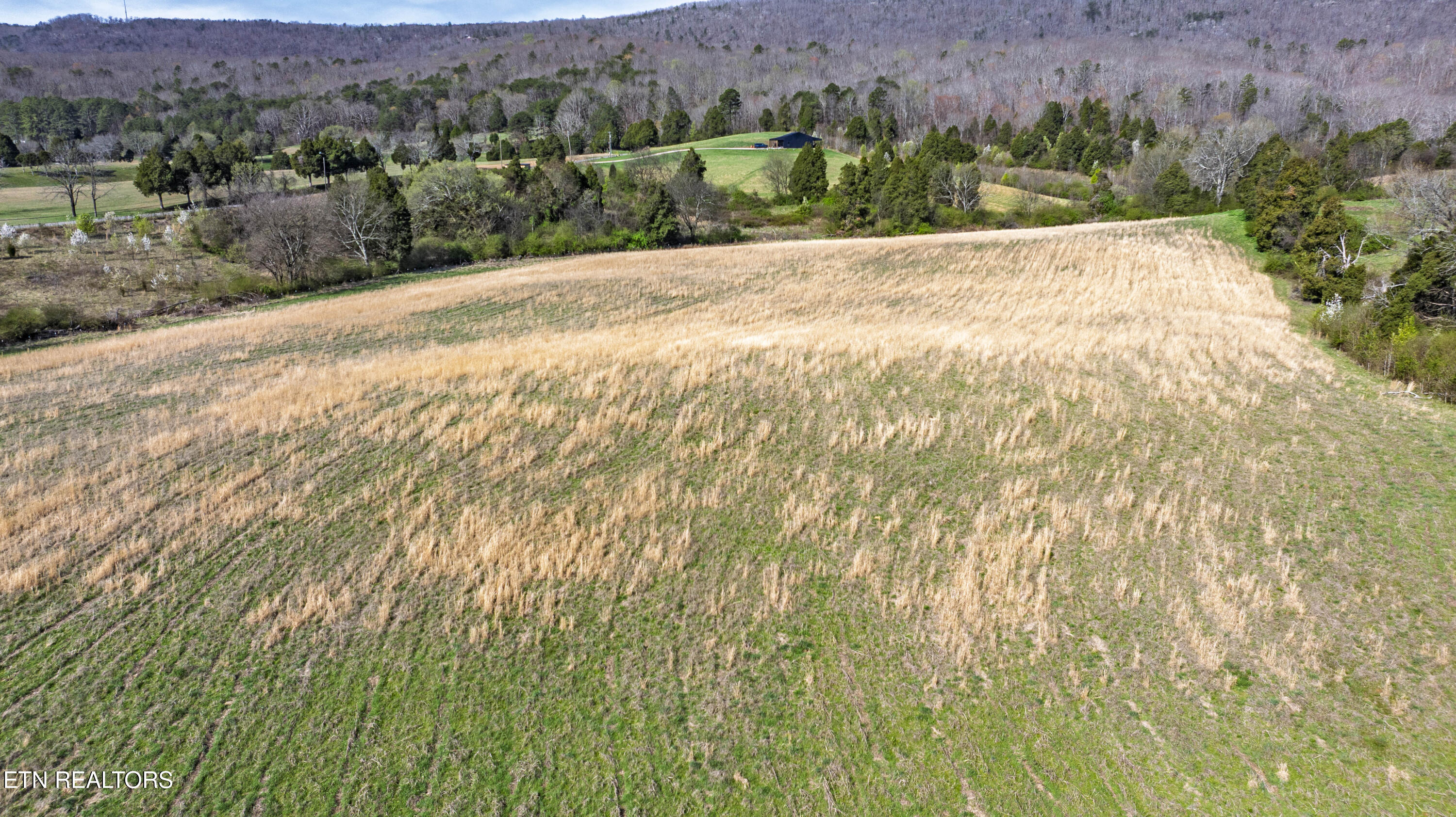 4637 Ideal Valley Road Spring City TN 37381