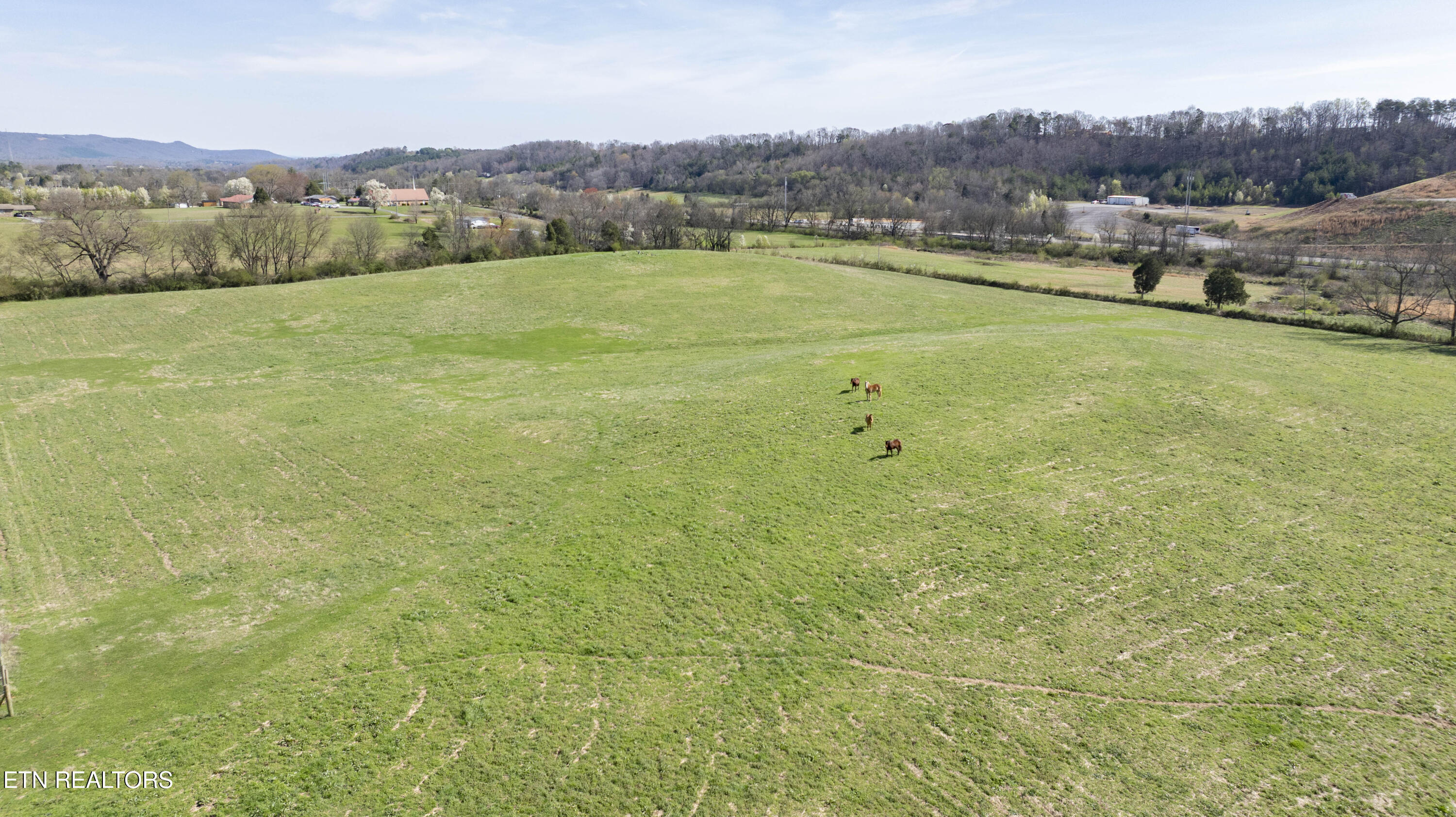 4637 Ideal Valley Road Spring City TN 37381