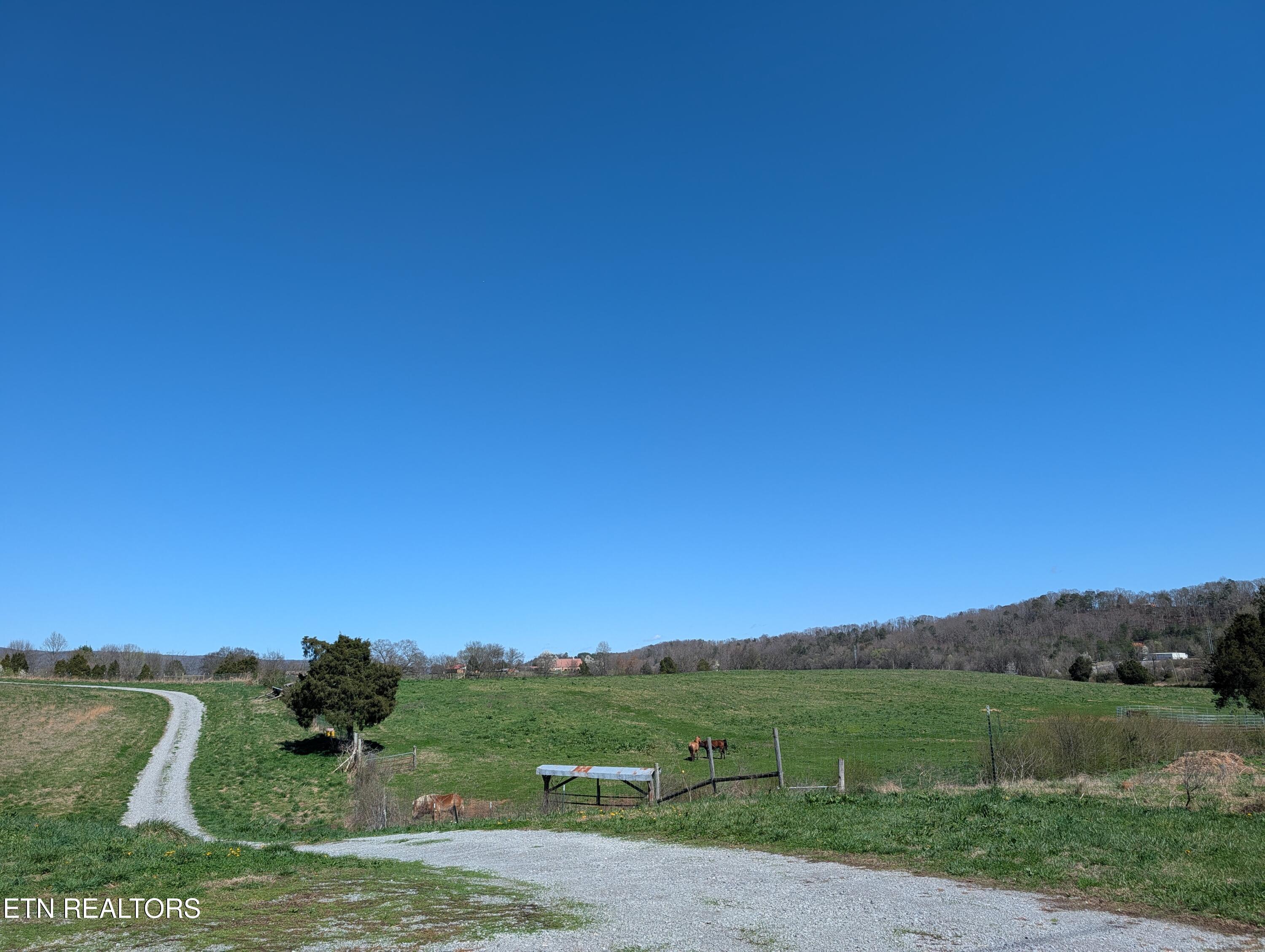 4637 Ideal Valley Road Spring City TN 37381