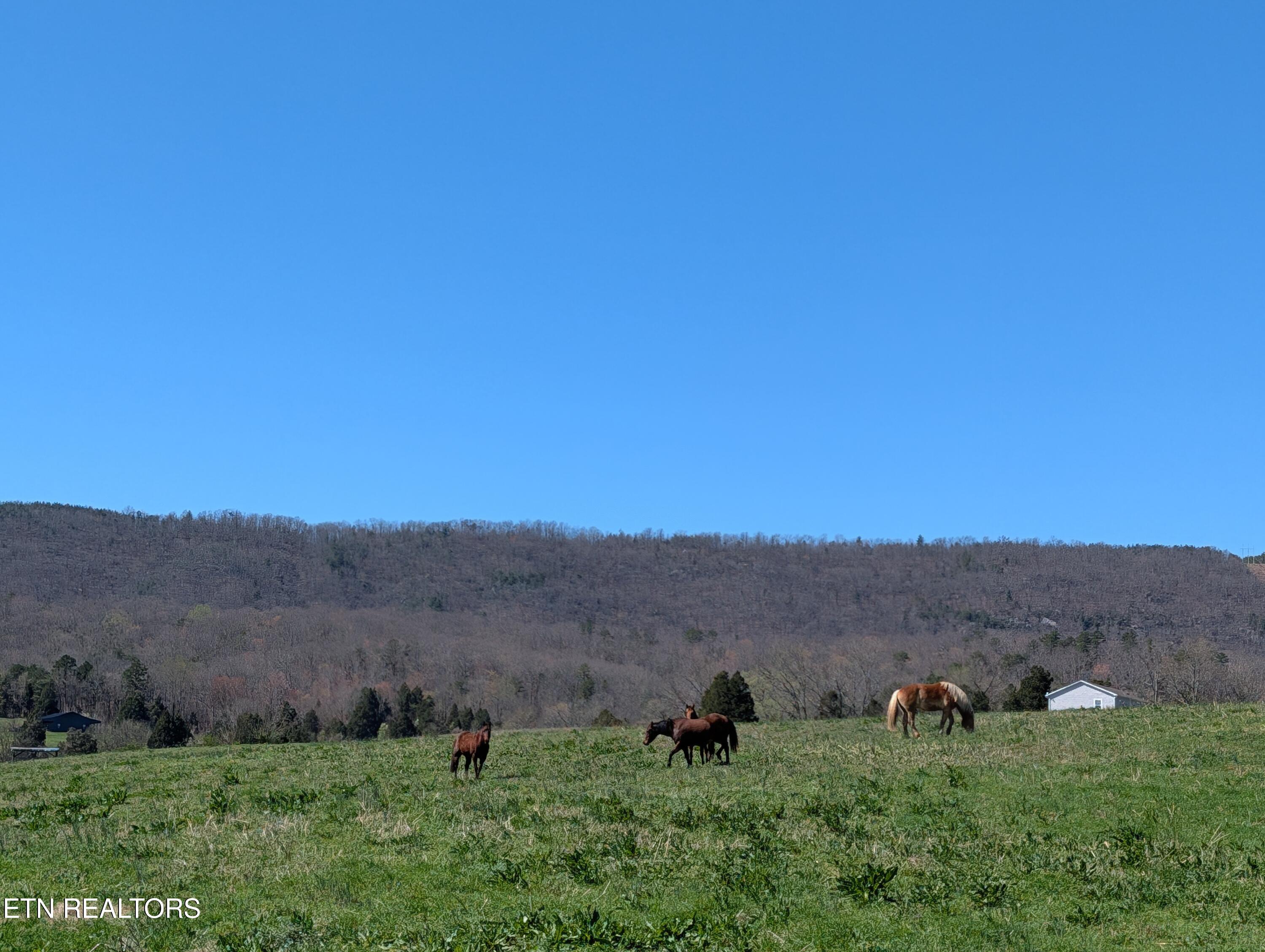 4637 Ideal Valley Road Spring City TN 37381