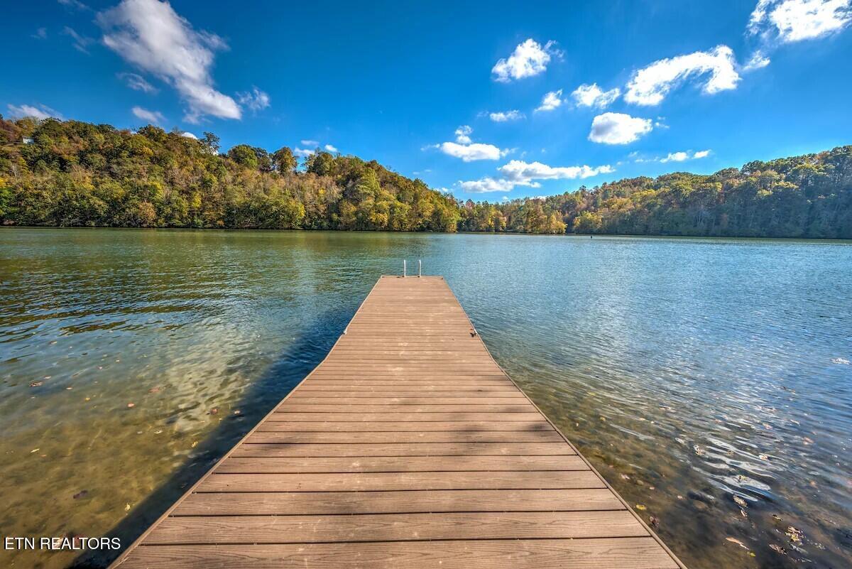 408 Lakecrest Drive Harriman TN 37748
