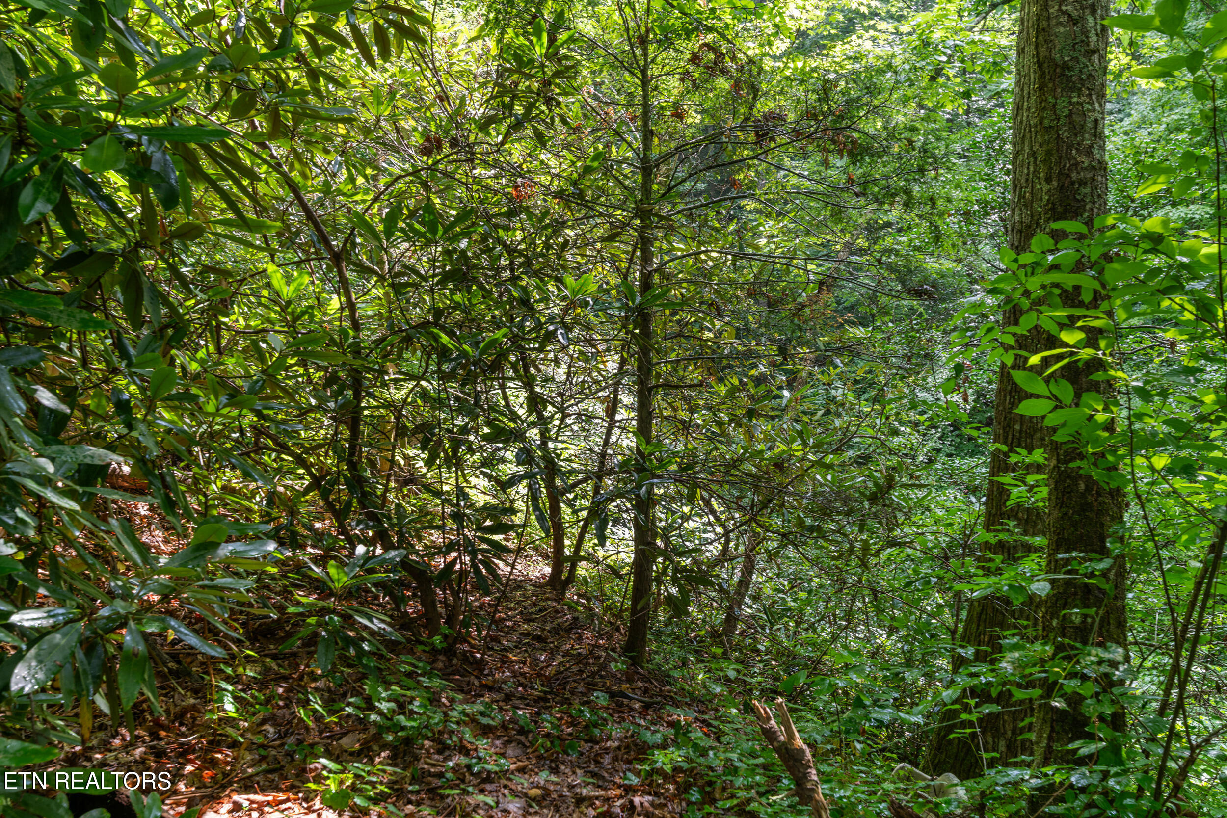 1941 Anderson Way Sevierville TN 37876