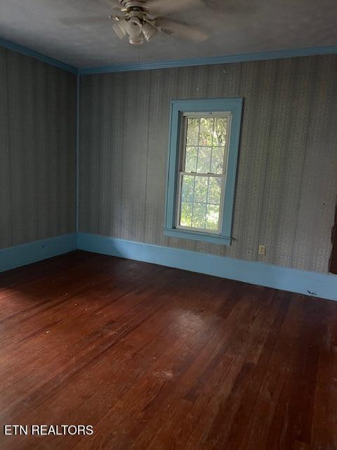 1608 Highway 116 Caryville TN 37714