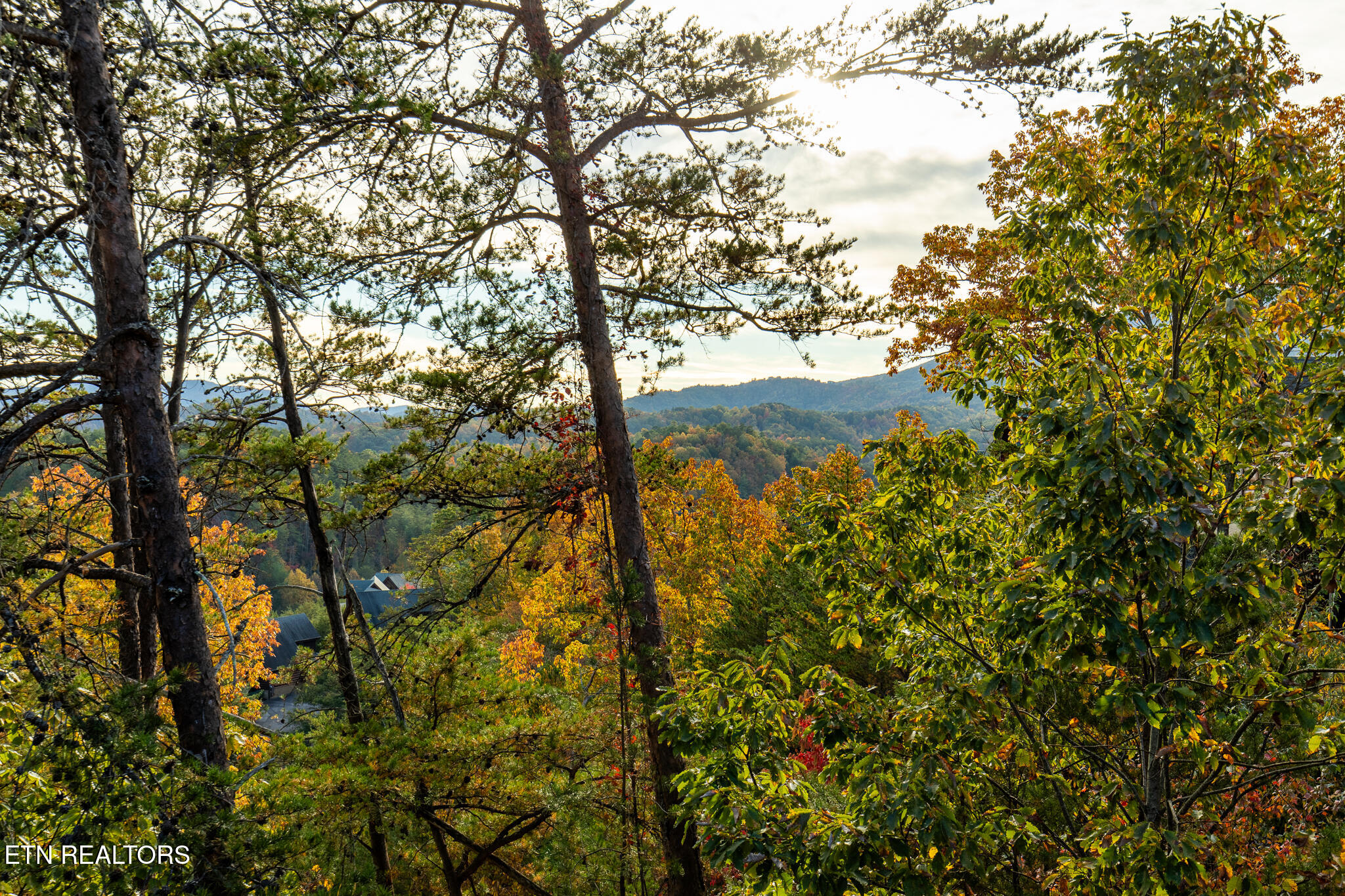 2024 Cougar Crossing Way Sevierville TN 37876