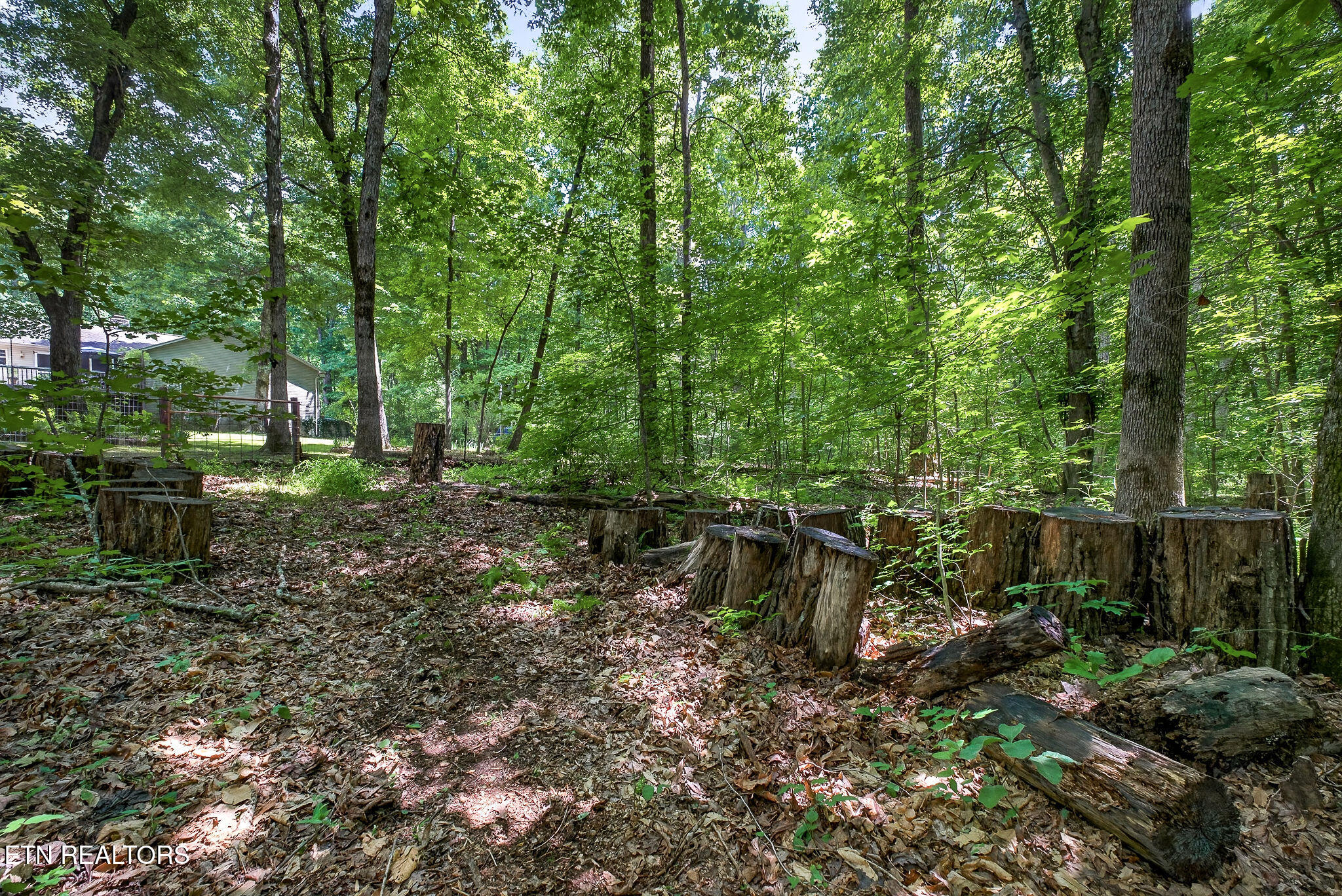 2025 Old Bon Air Road Sparta TN 38583