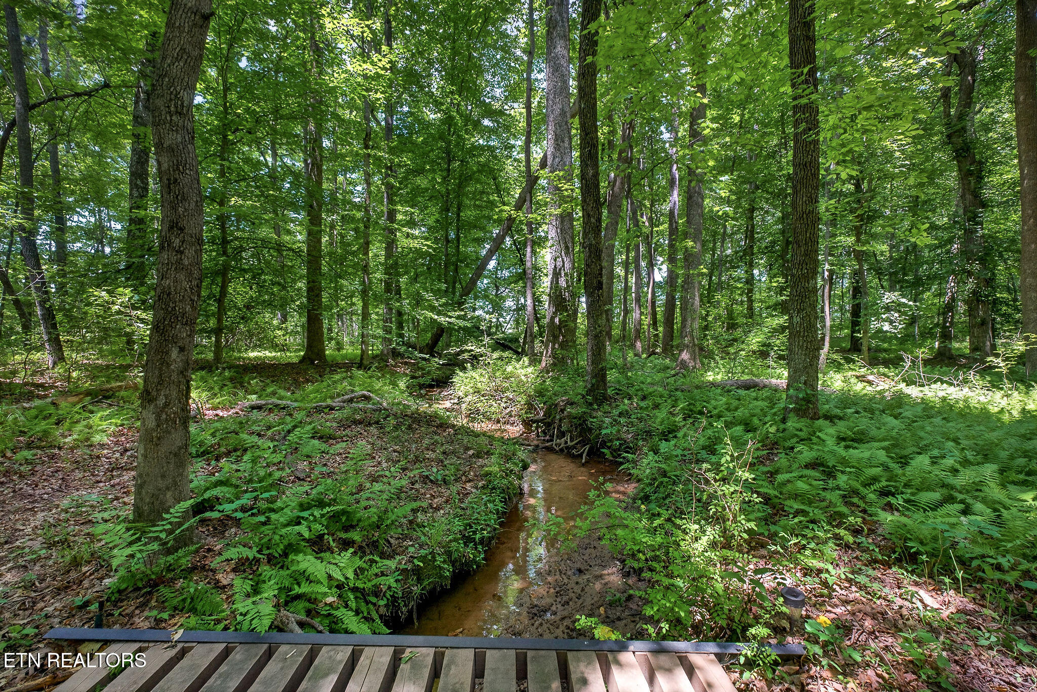 2025 Old Bon Air Road Sparta TN 38583