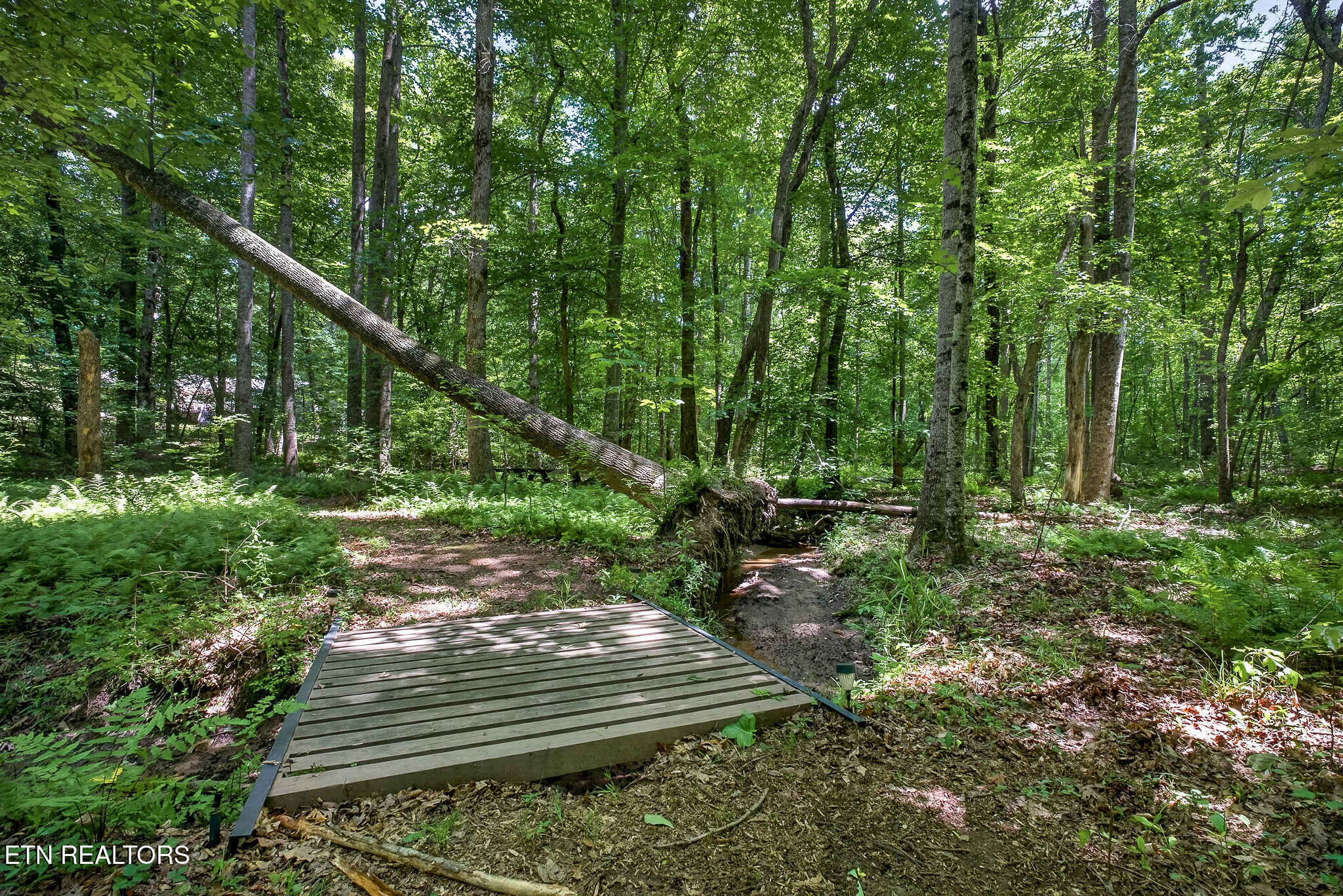 2025 Old Bon Air Road Sparta TN 38583