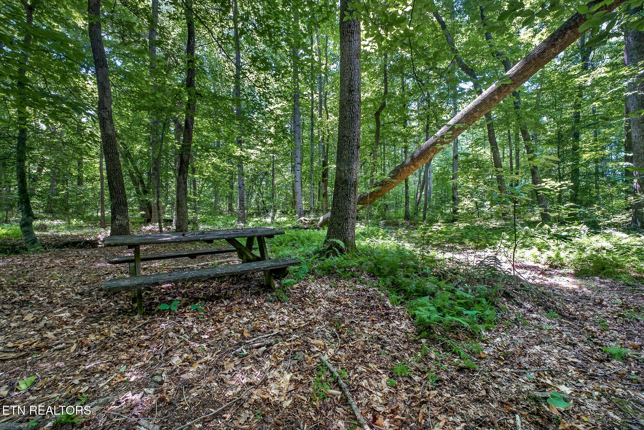 2025 Old Bon Air Road Sparta TN 38583