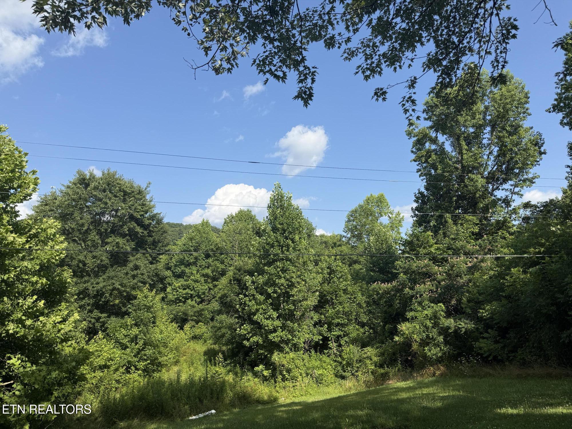 129 Old Bryant Lane Rocky Top TN 37769