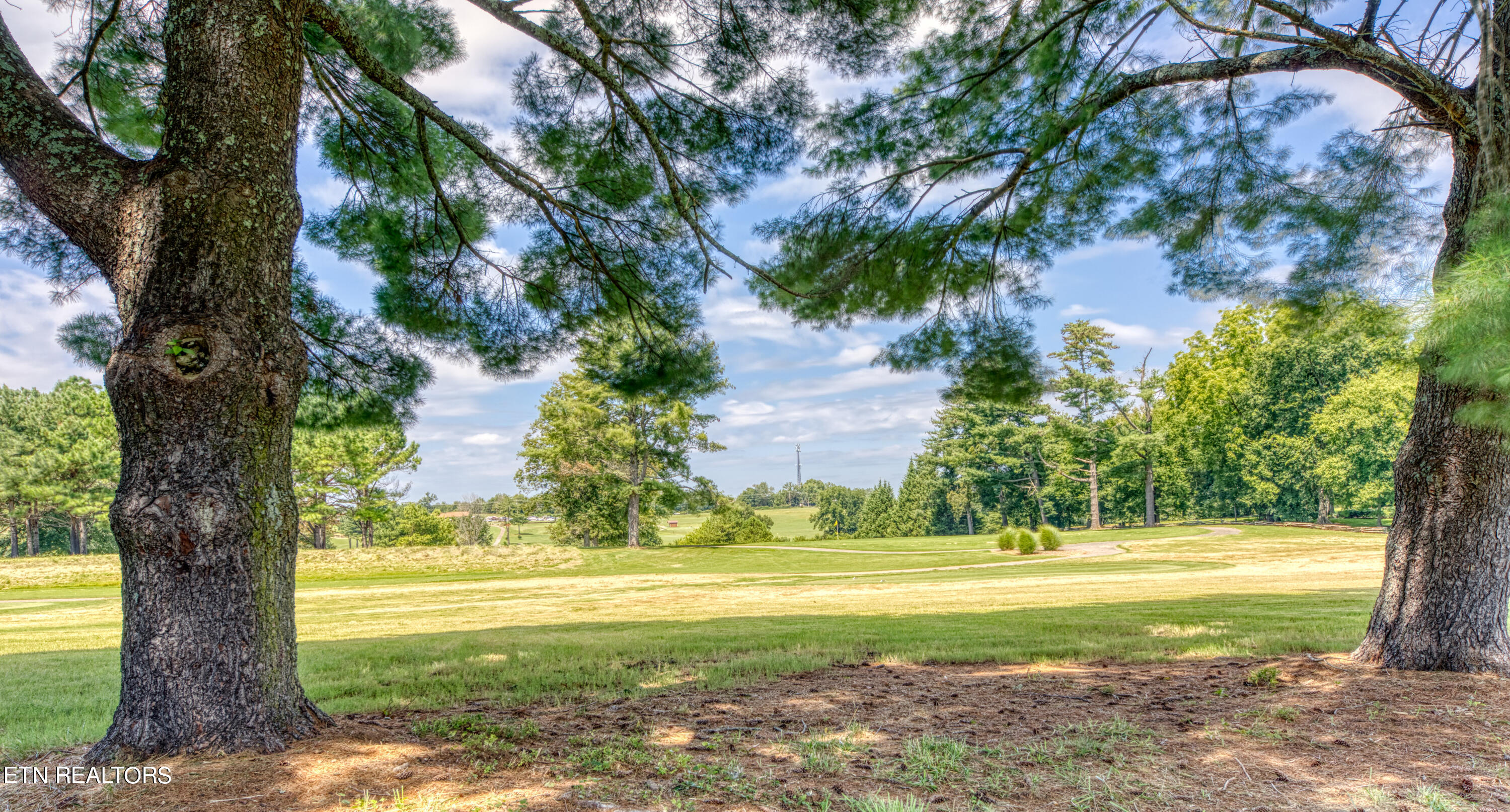 520 Golden Rose Drive Maryville TN 37803