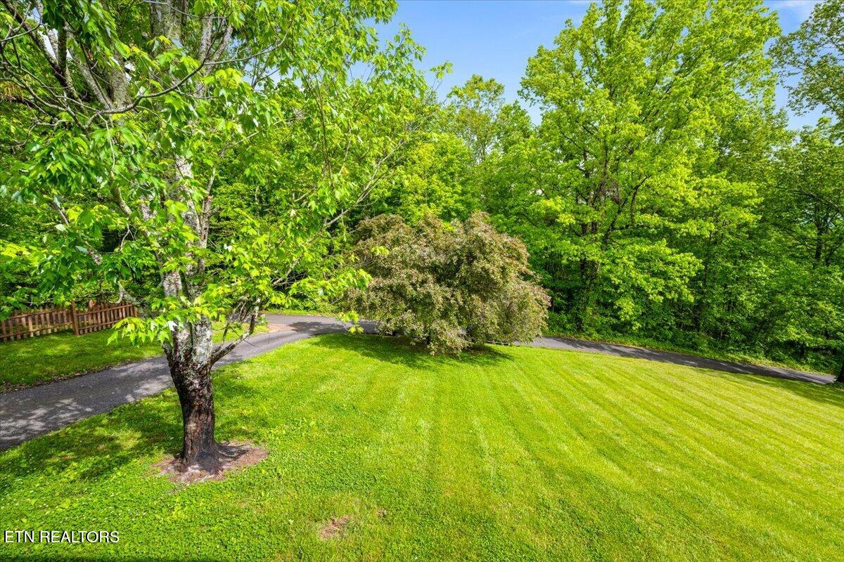 226 Mckinney Road Lafollette TN 37766