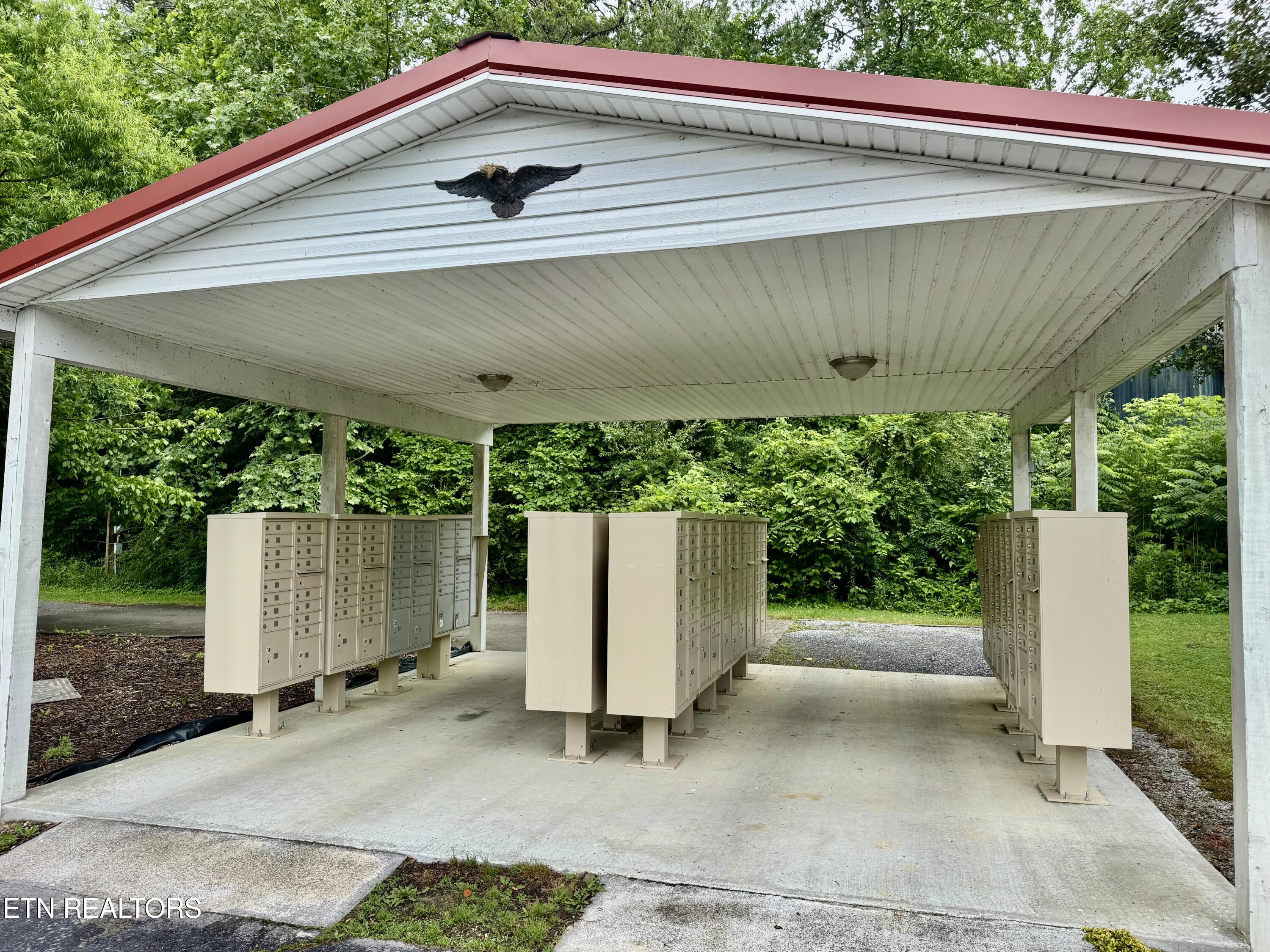 401 Mountain Thrush Drive Townsend TN 37882