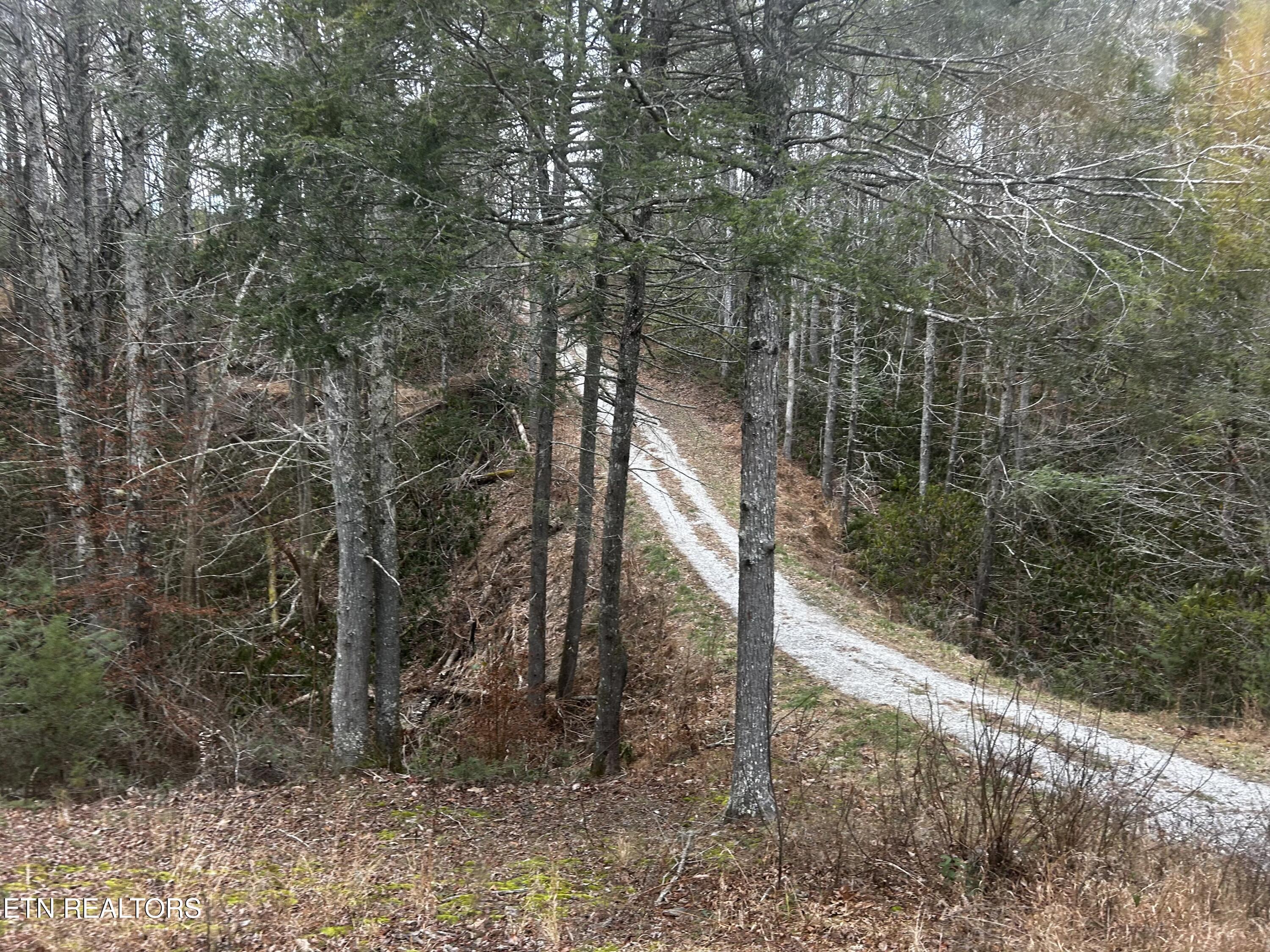 367 Mcjunkin Road Tellico Plains TN 37385