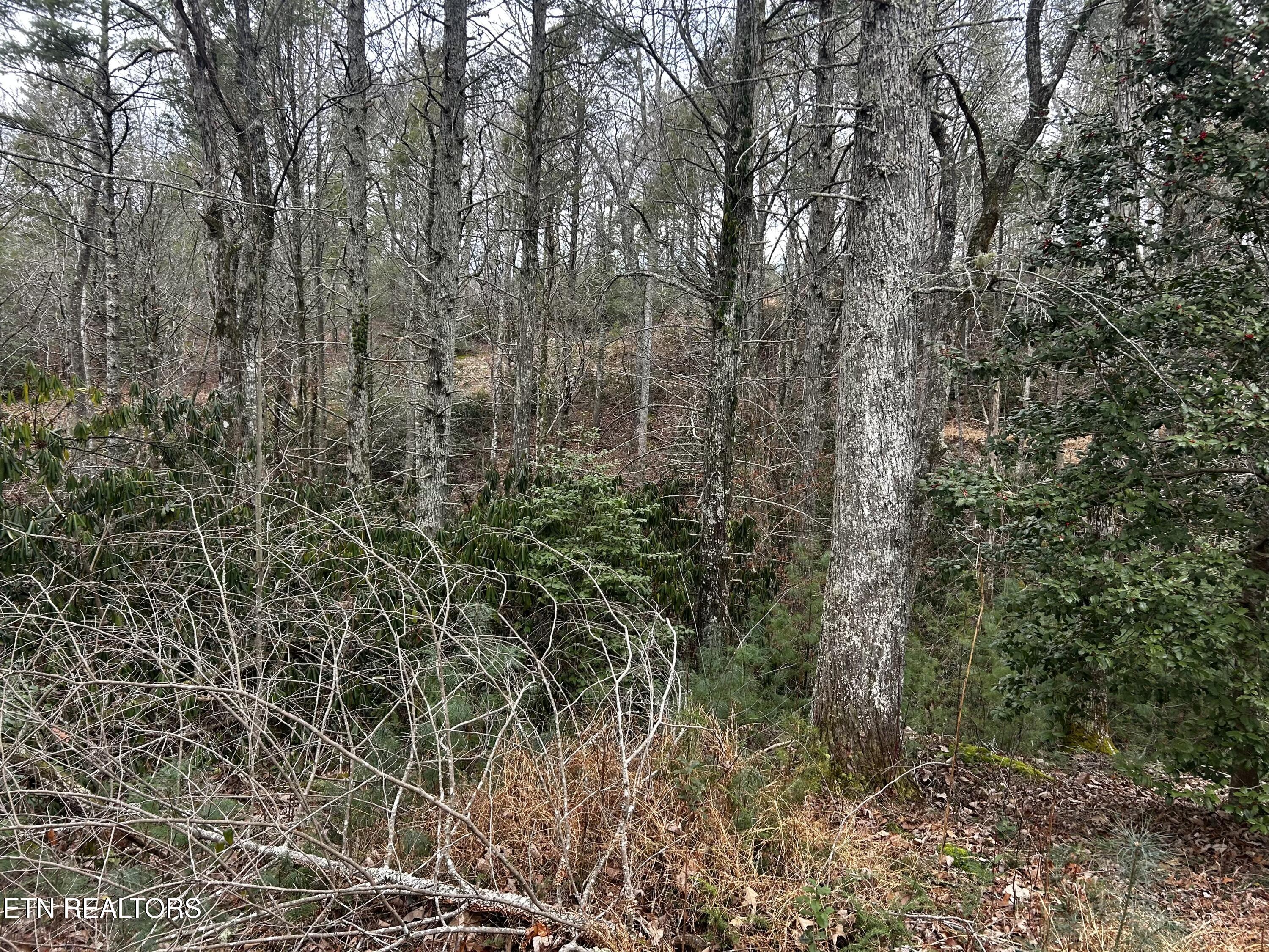 367 Mcjunkin Road Tellico Plains TN 37385