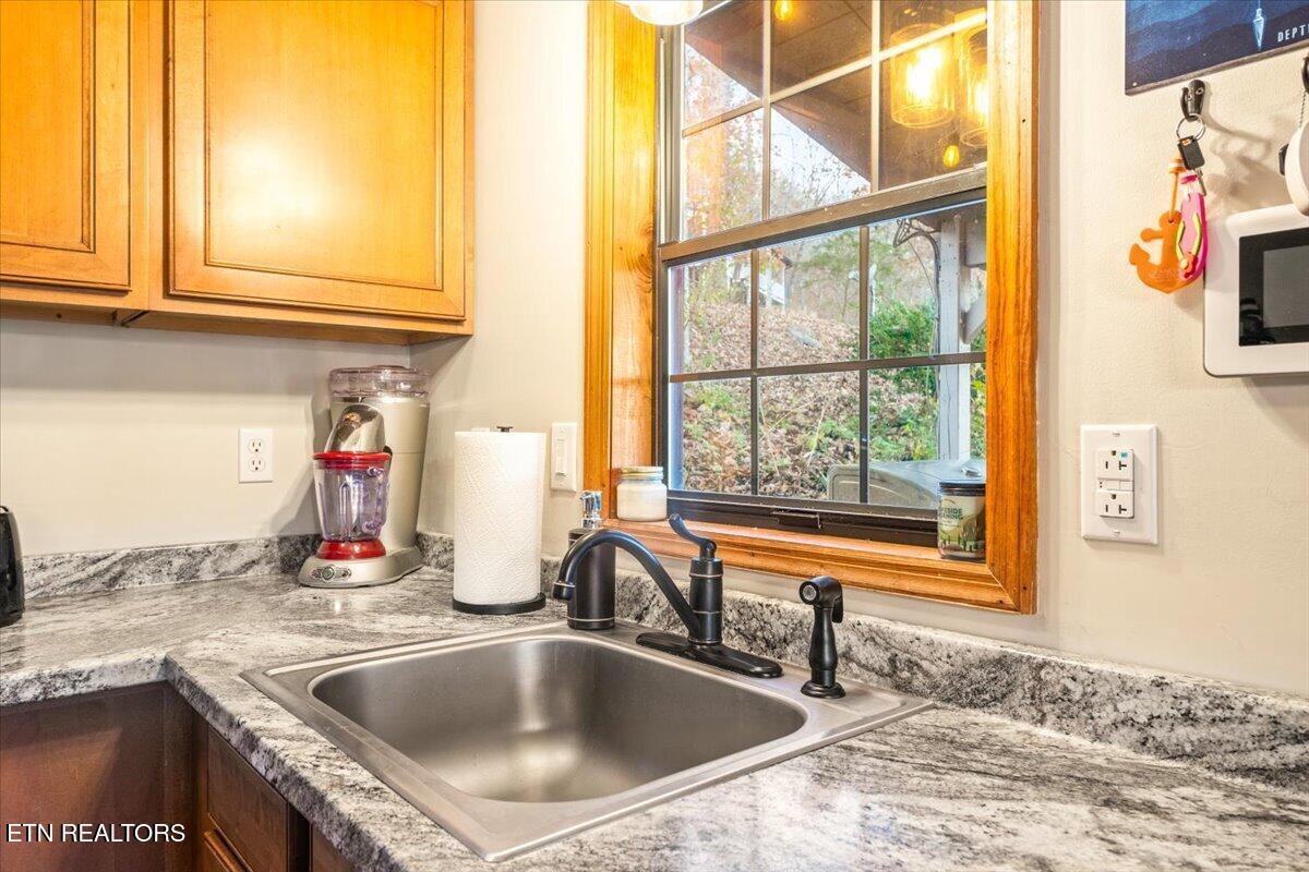 131 Phoenix Lane Speedwell TN 37870